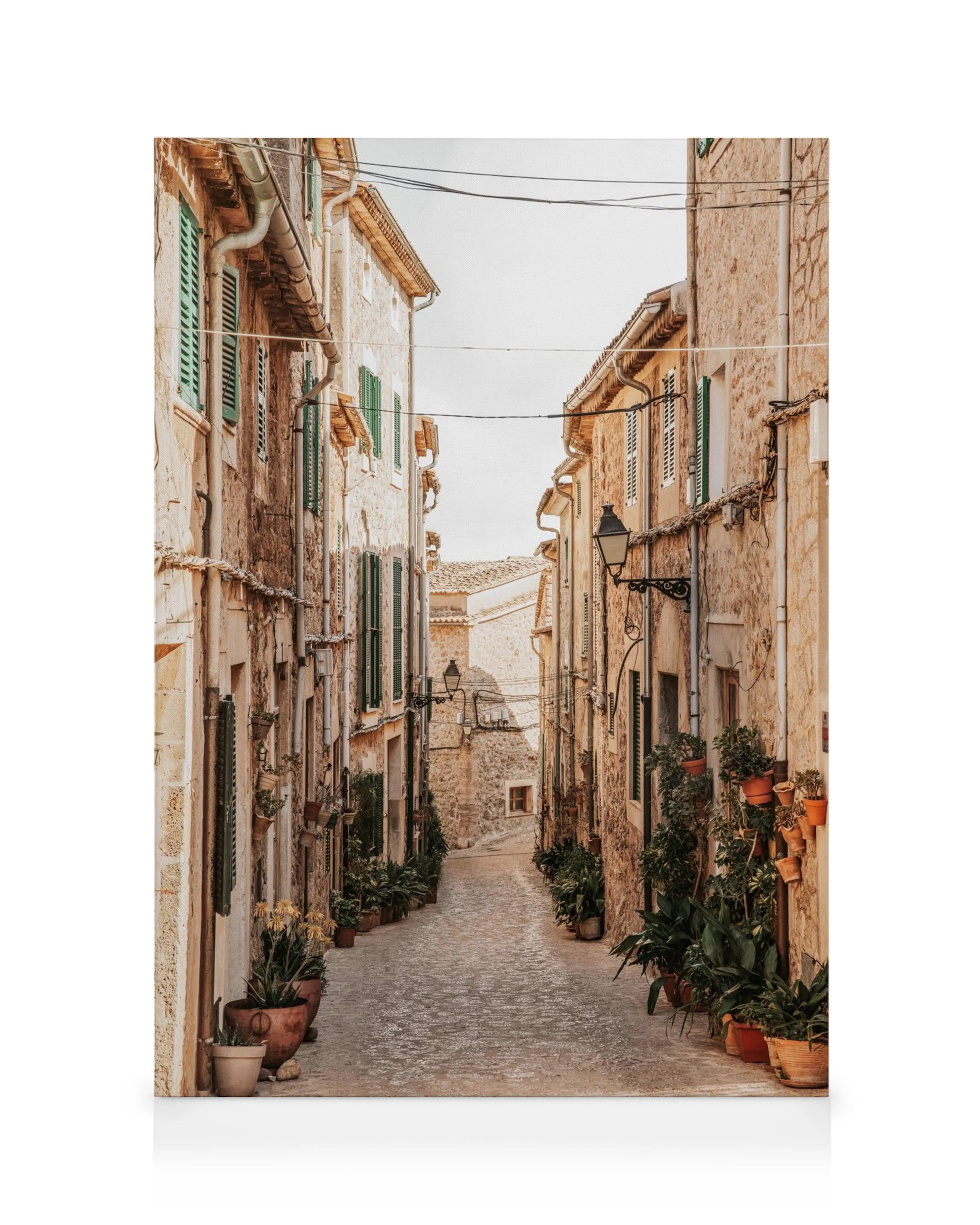 A narrow, cobblestone street with tall stone buildings and potted plants, featured on a canvas print.
