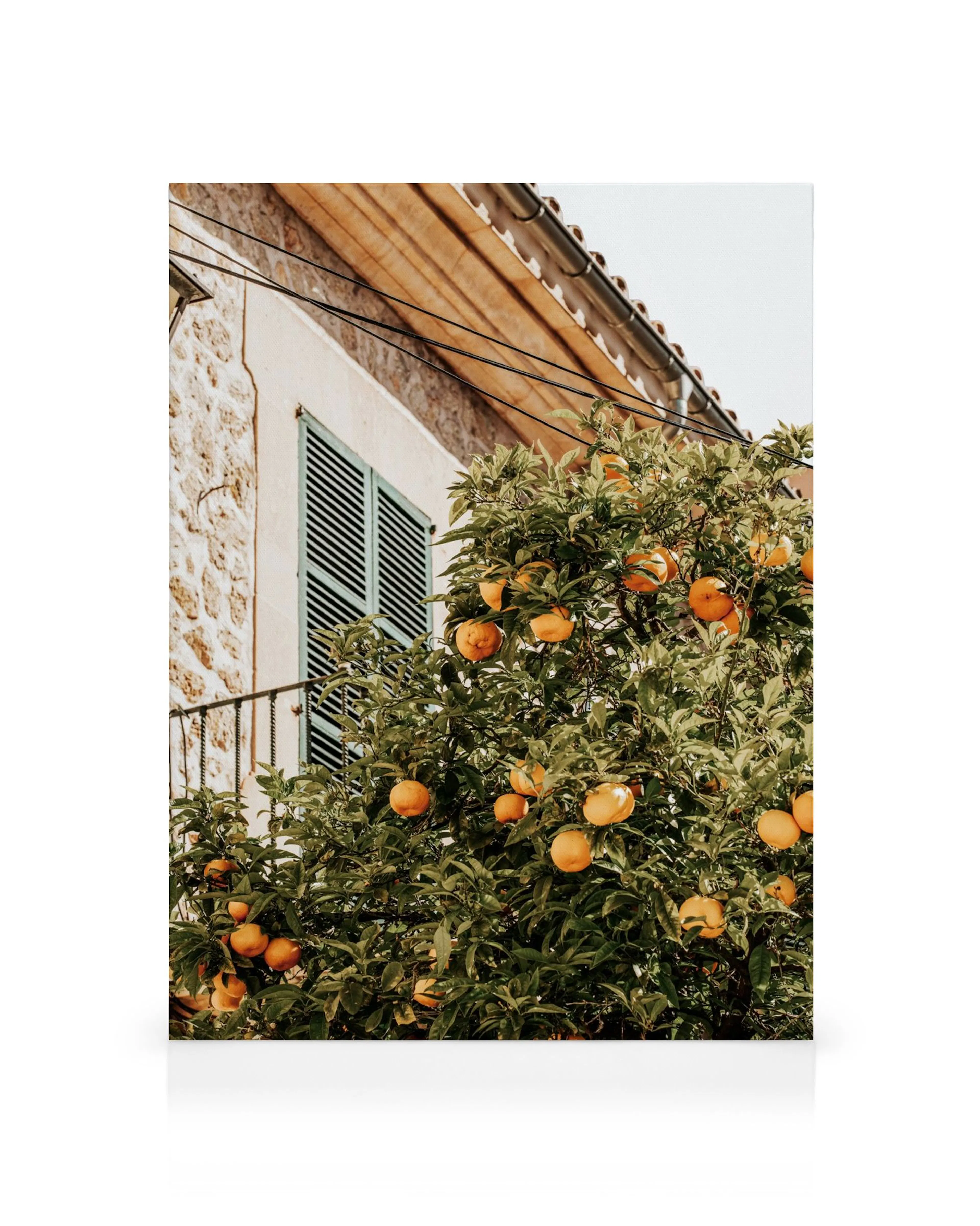 Stampa su tela di un albero di arance in fiore con un edificio tradizionale in pietra e persiane verdi sullo sfondo.