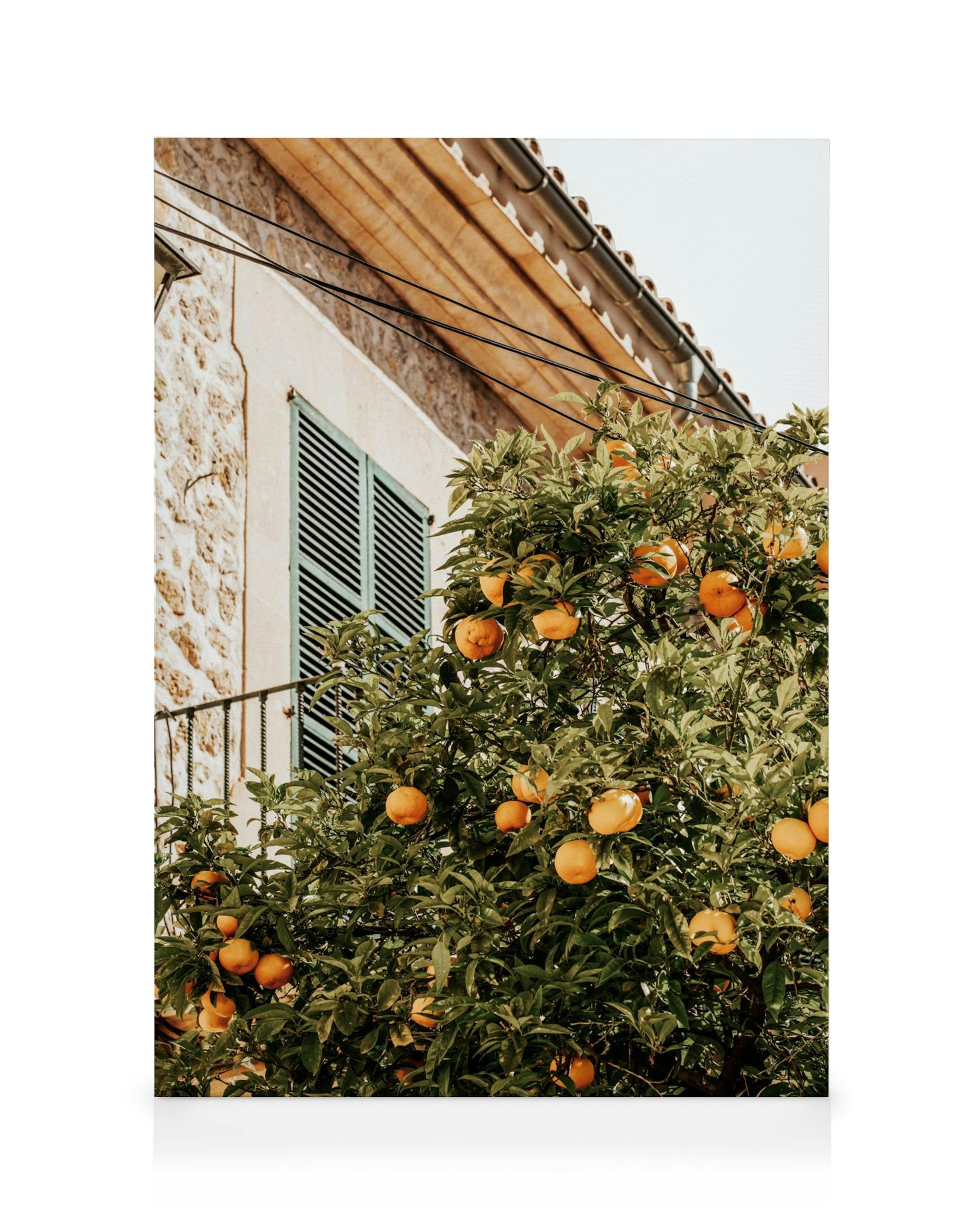 A canvas print of an orange tree with ripe fruit in front of a stone building with blue shutters.