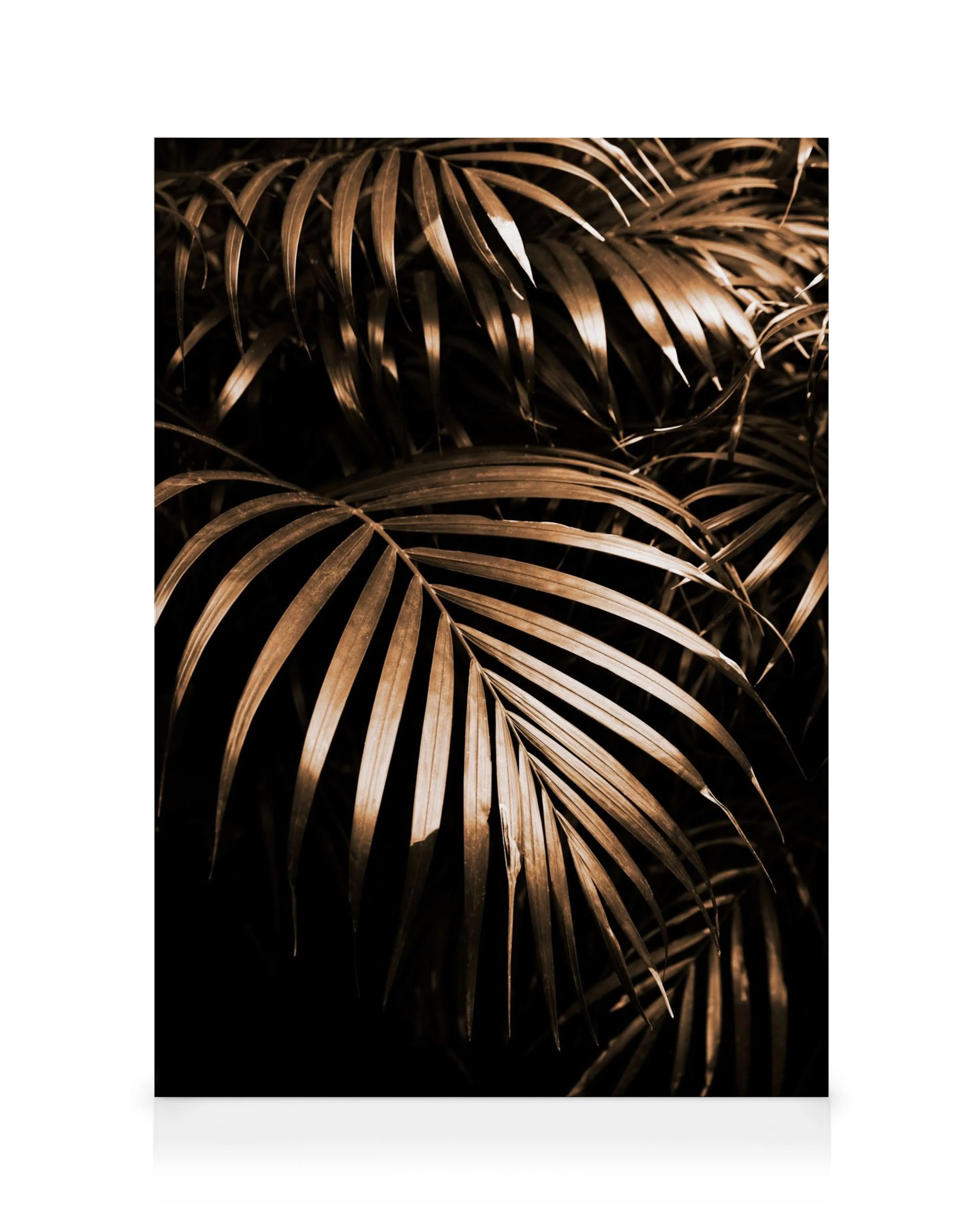 Golden botanical canvas print featuring radiant palm fronds on a dark background.