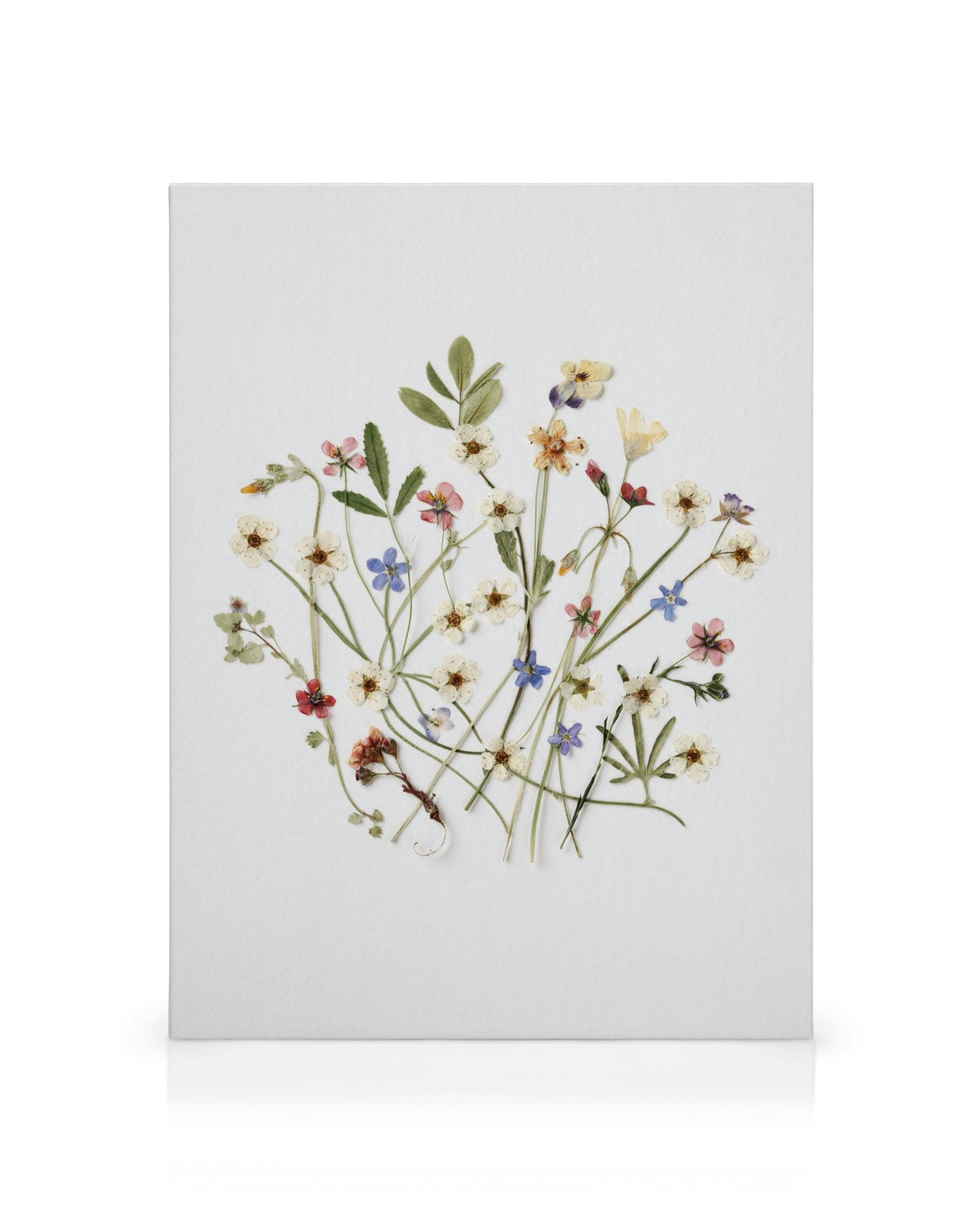 Quadro em tela com flores prensadas em rosa, azul, amarelo e verde, sobre fundo branco, arte botânica decorativa.