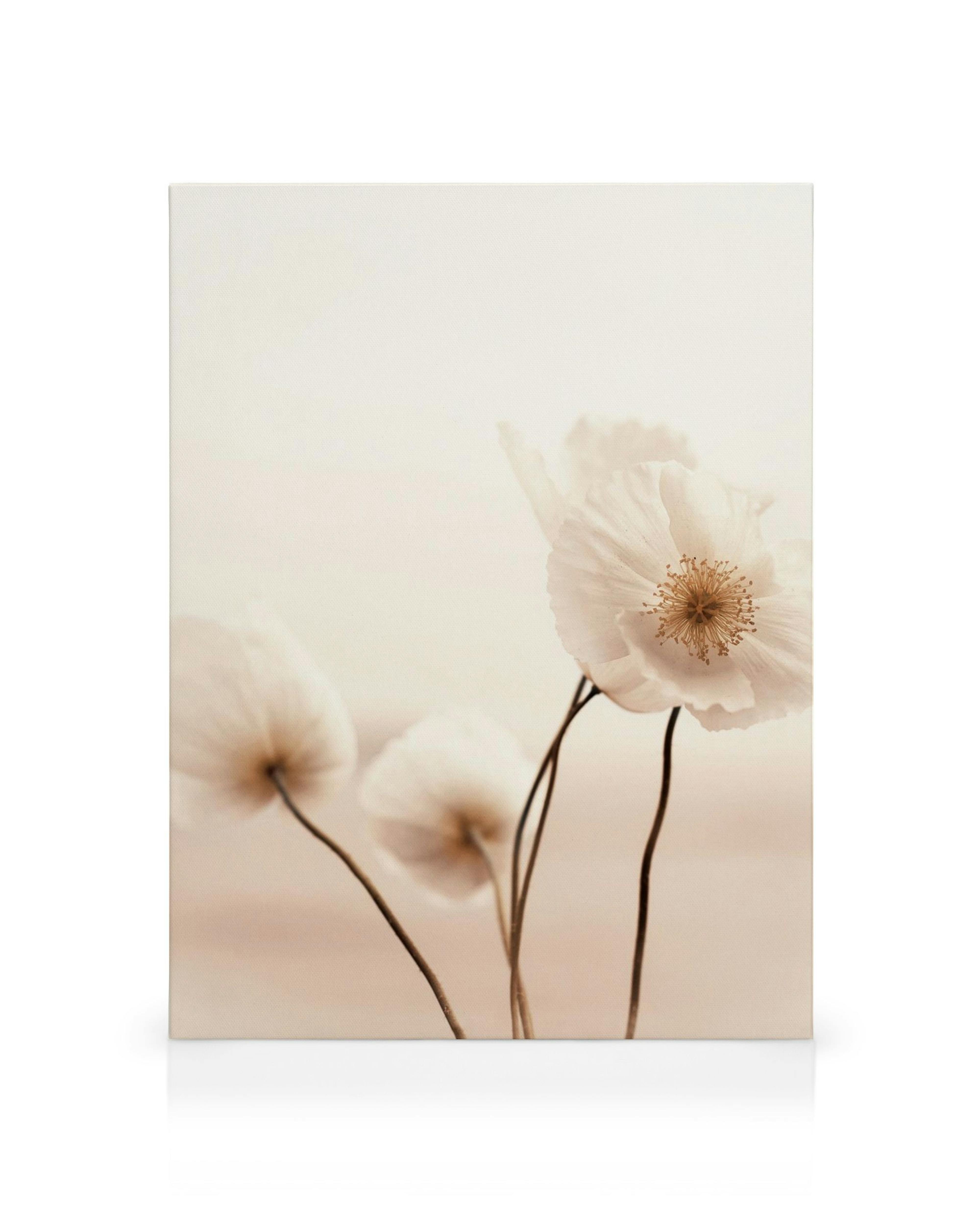Leinwandbild mit blassen Mohnblumen, die auf dünnen Stielen im Wind schwingen, in sanften Beige- und Cremetönen