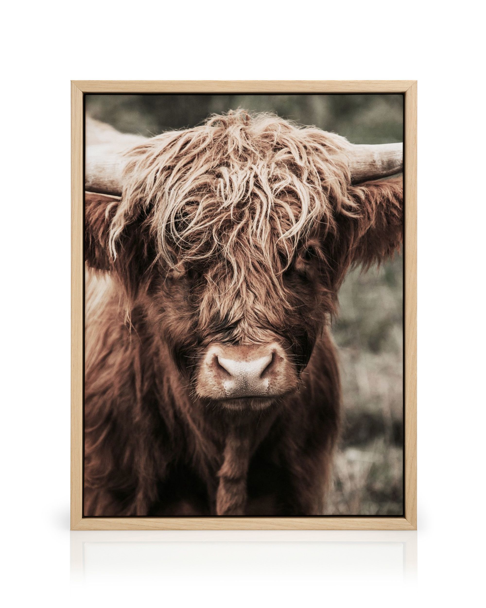 HNKDKJ Arte della Parete della Mucca delle Highland Incorniciato Decorazioni d'Arte Rustiche Occidentali per Camera da Letto Ufficio Soggiorno 70x108cm/28x43 Pollici-Cornice Interna