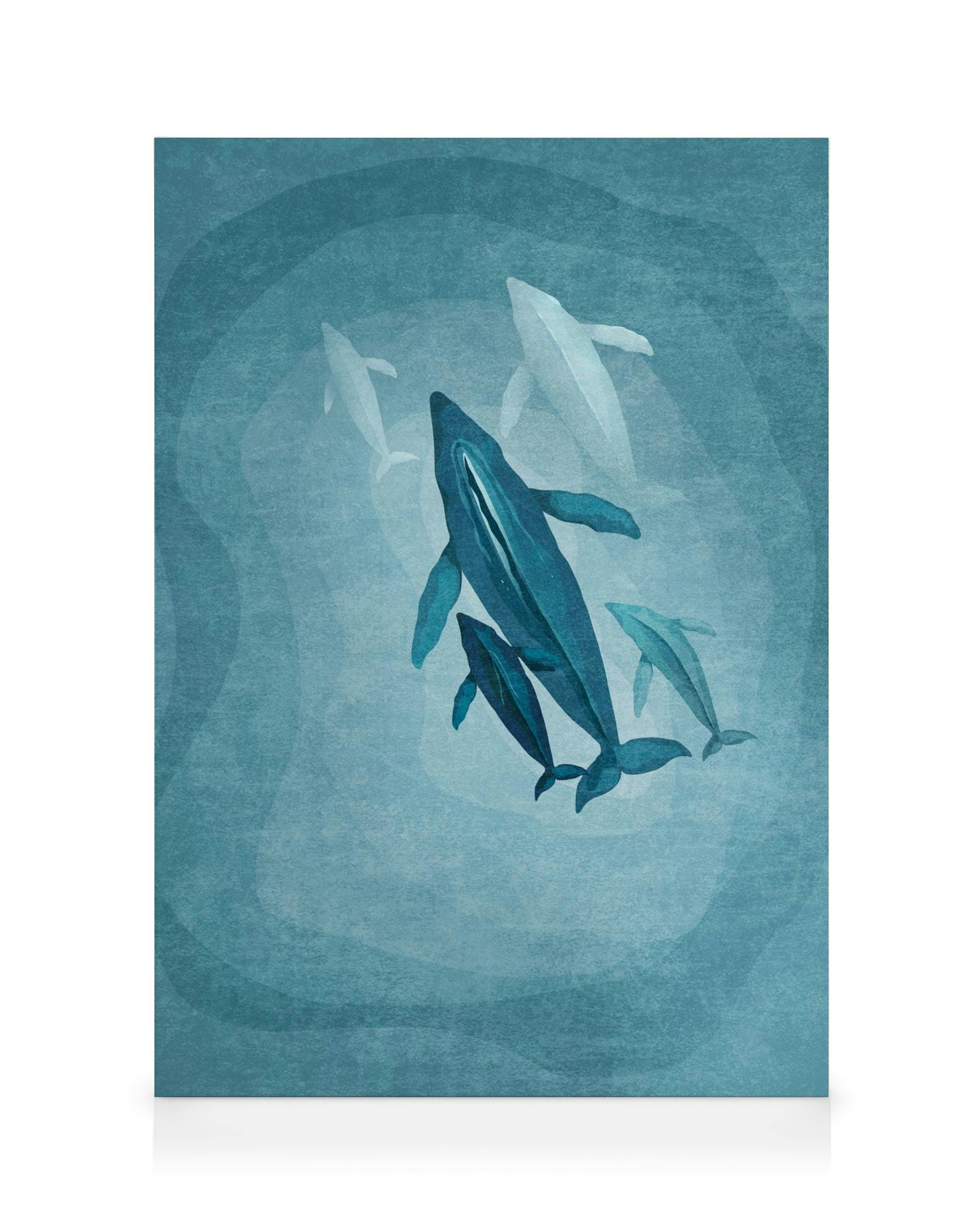 Whales Family Toile (50x70 cm)  Animaux sauvages