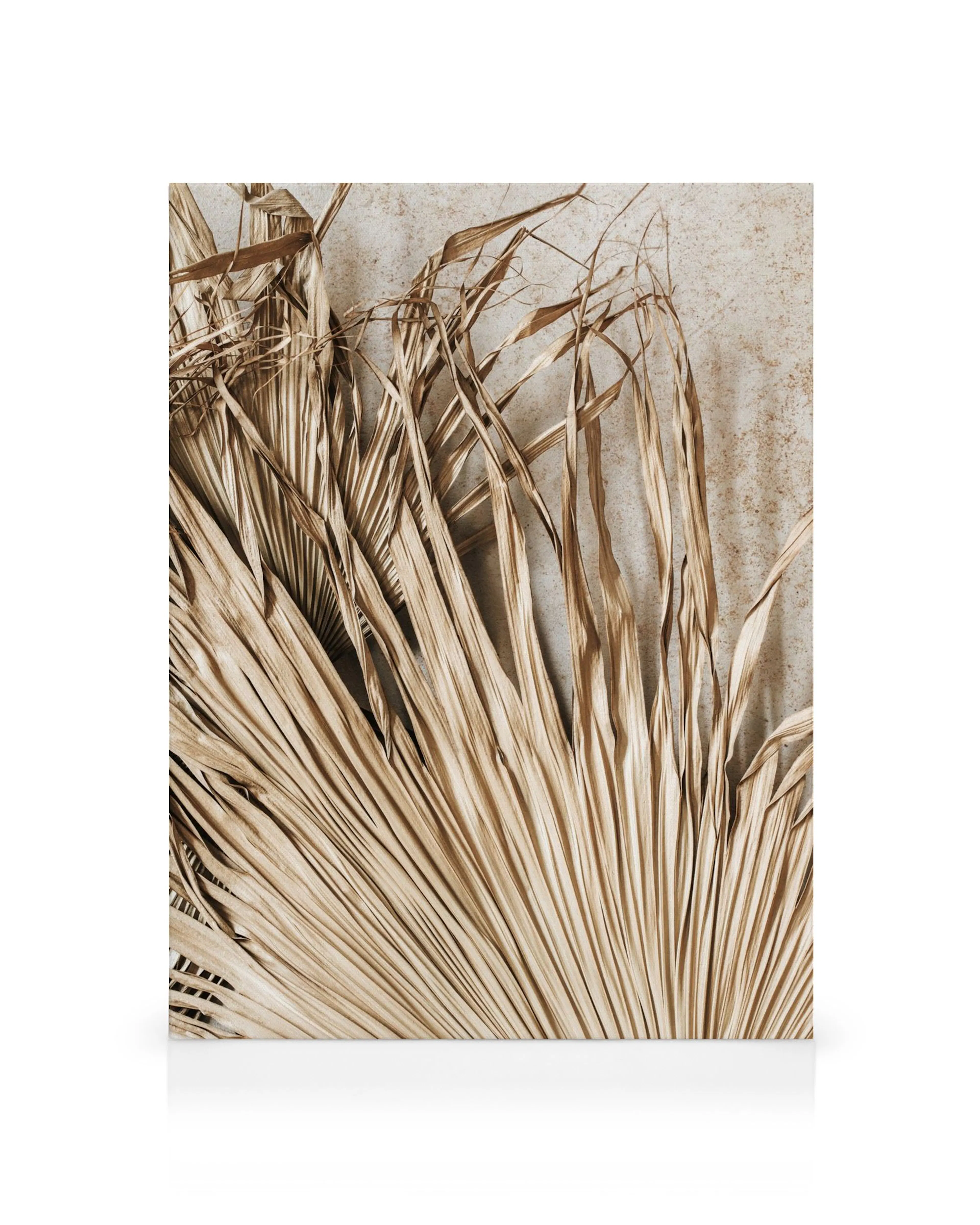 Quadro em tela de folha de palmeira linear seca em tons de bege e marrom contra um fundo claro, arte de parede tropical.