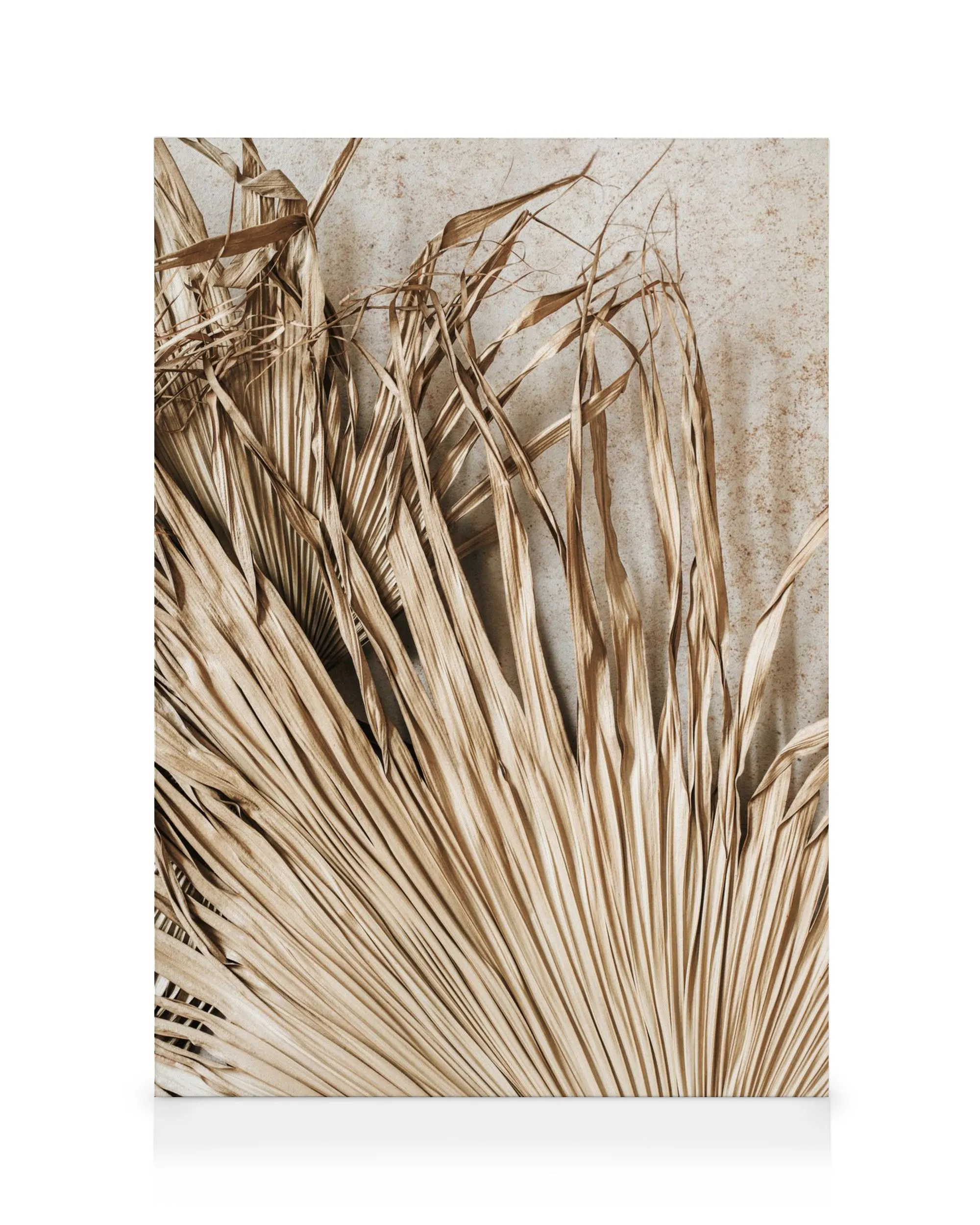 Dried tropical leaves in warm beige and brown tones against a textured background, forming a natural, earthy canvas art.