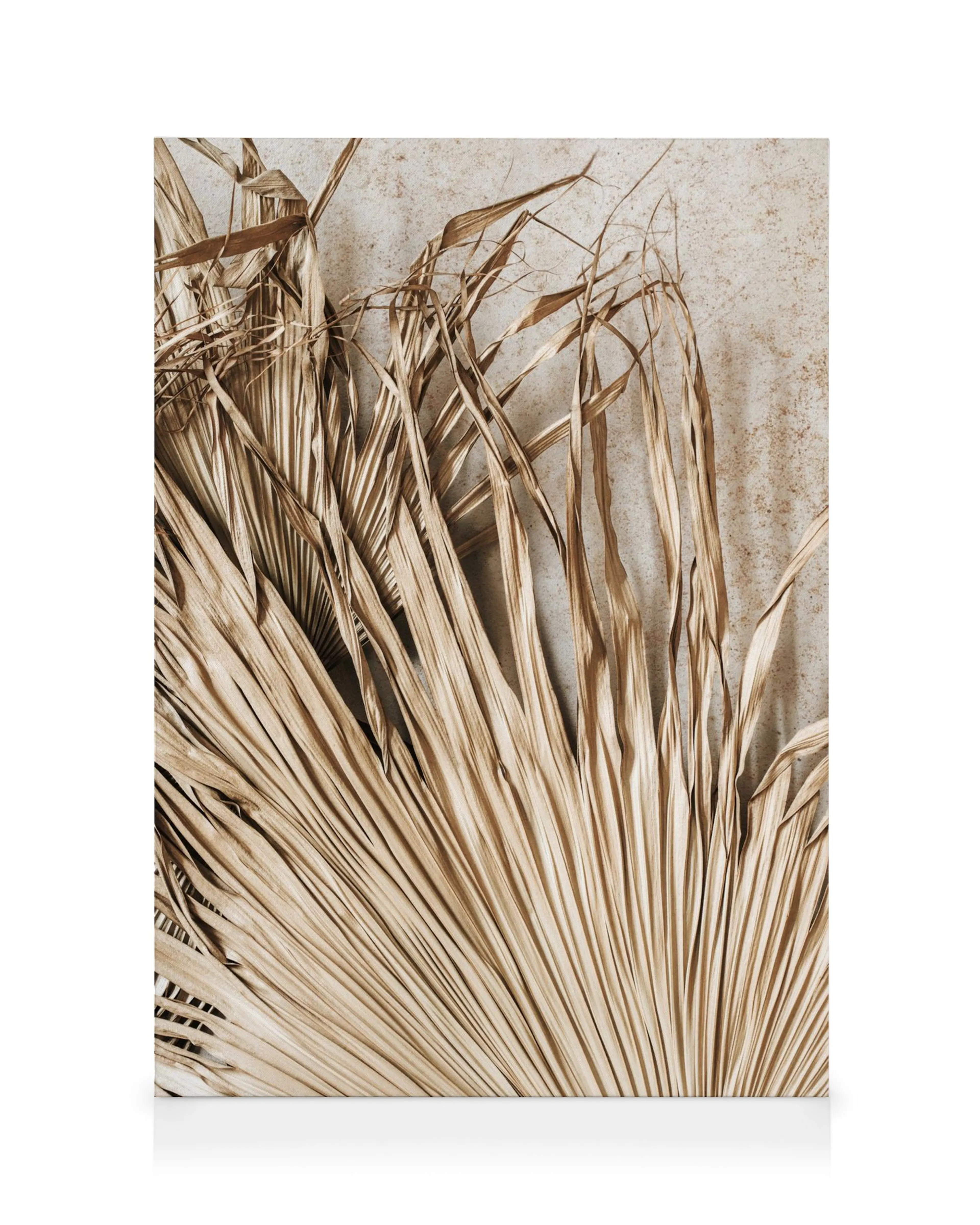 Dried tropical leaves in warm beige and brown tones against a textured background, forming a natural, earthy canvas art.