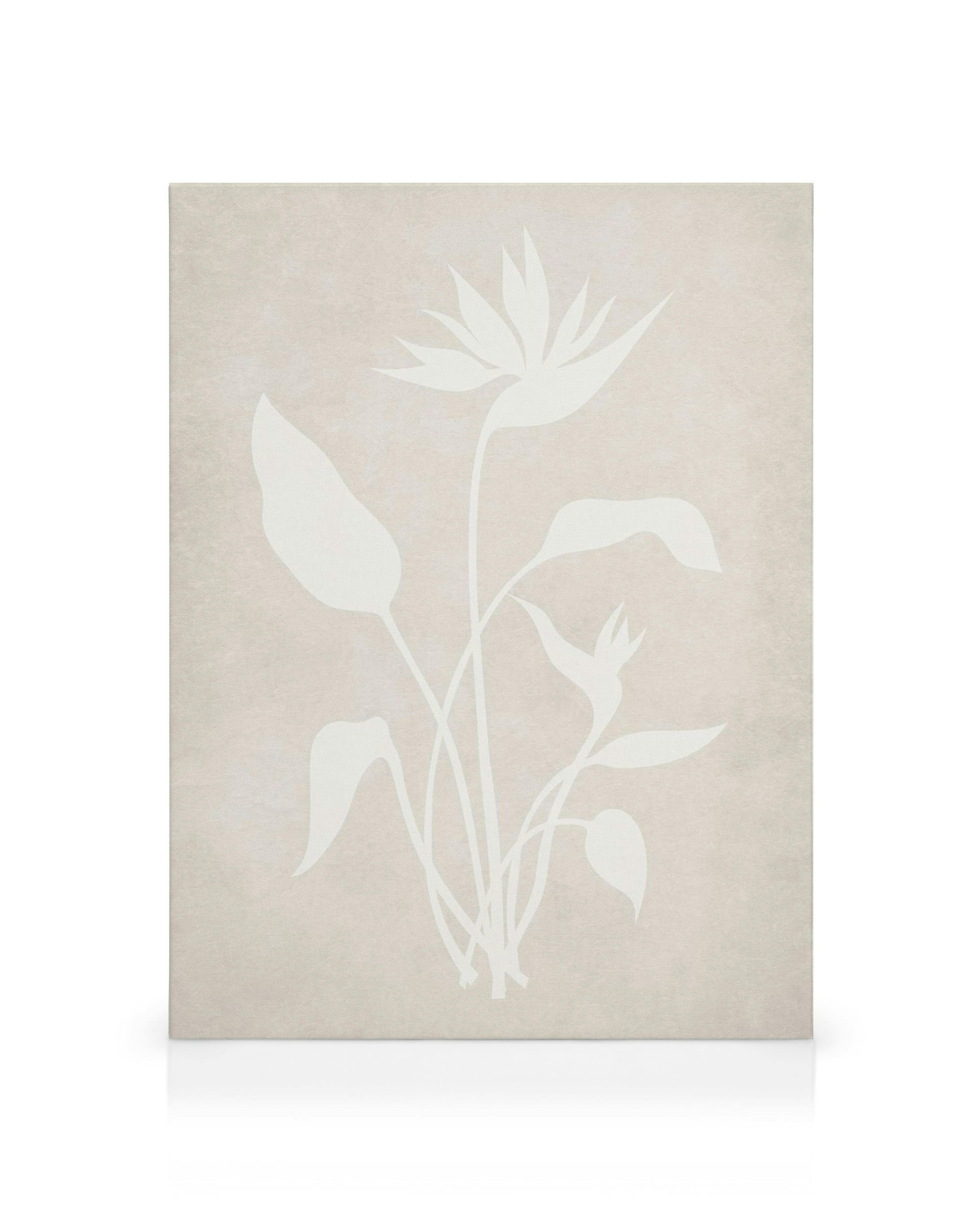 Beige Leinwand mit weisser Silhouette einer Paradiesvogelblume und Blättern in minimalistischem Stil.