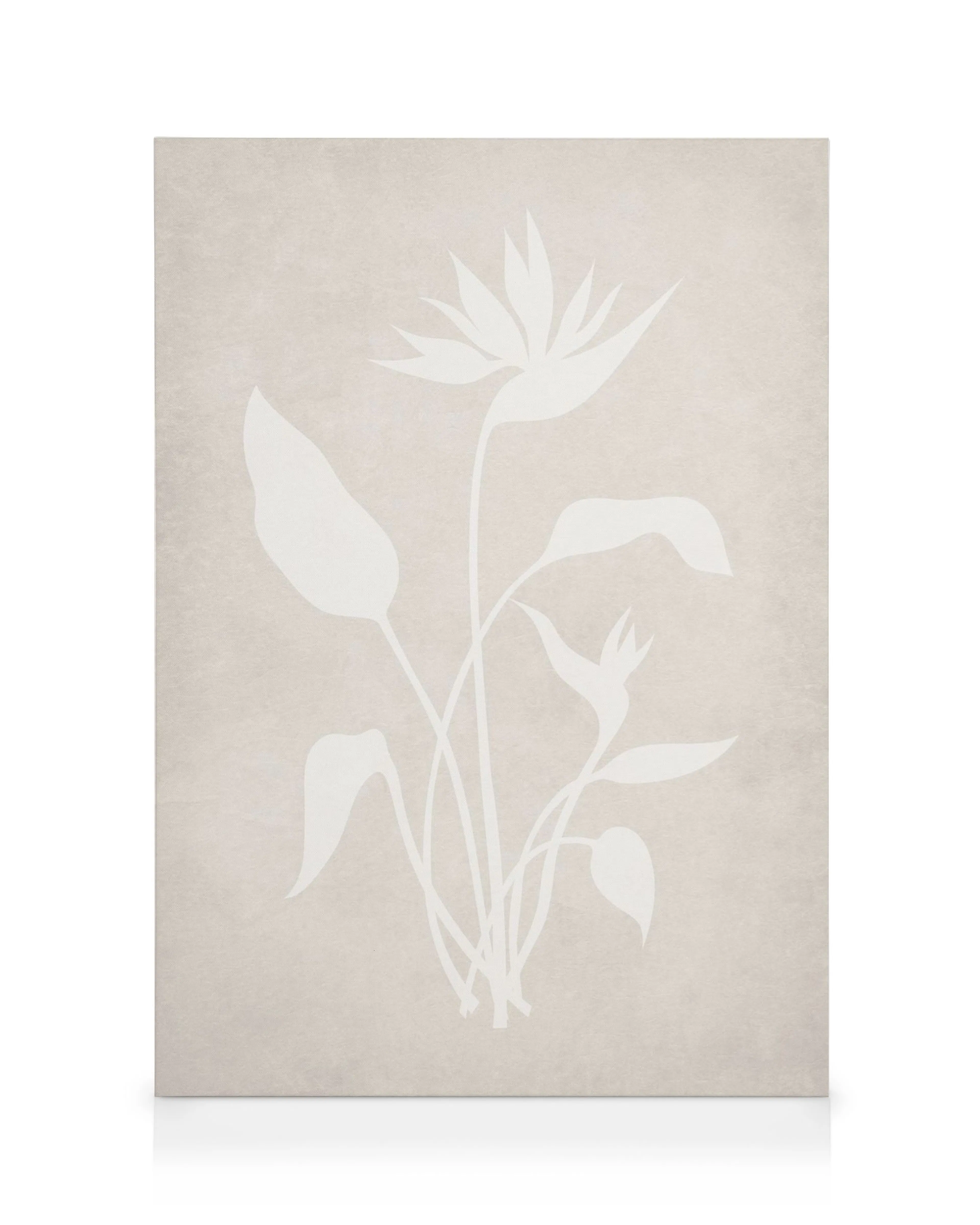 Stampa su tela beige con silhouette bianca di pianta Strelitzia, stile botanico astratto.