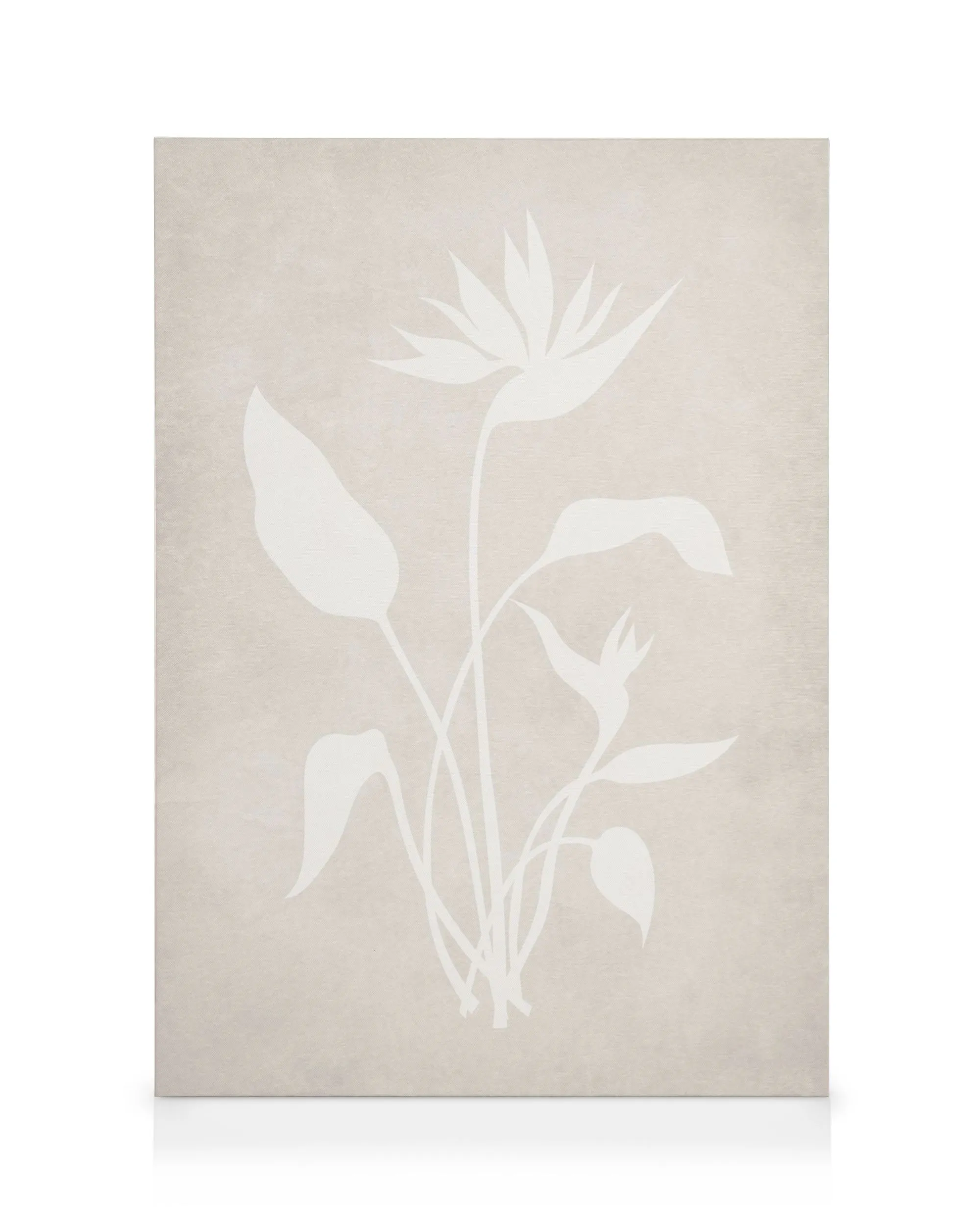 Béžový obraz na plátně s bílou siluetou květu strelície a listů.