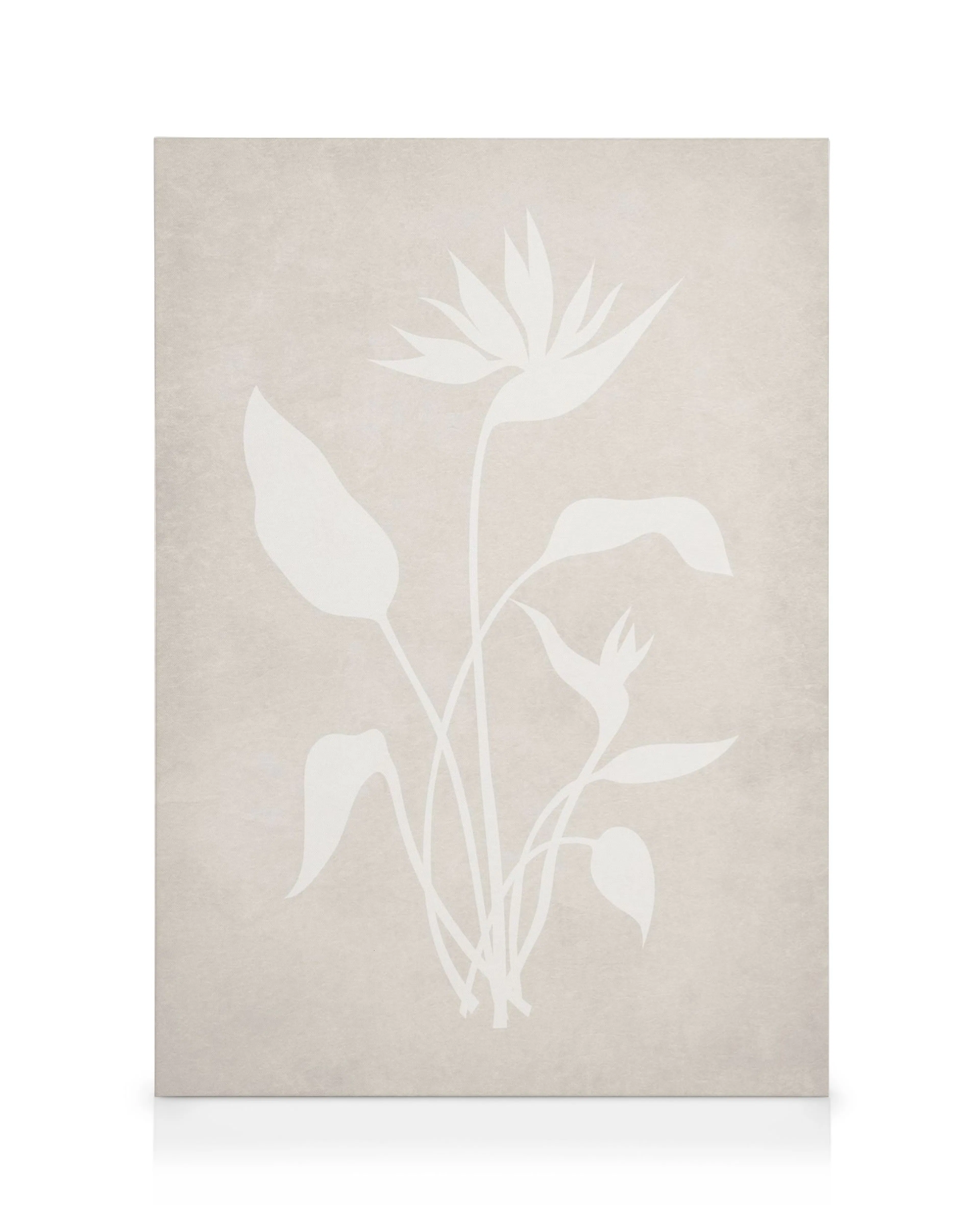 Béžový obraz na plátně s bílou siluetou květu strelície a listů.