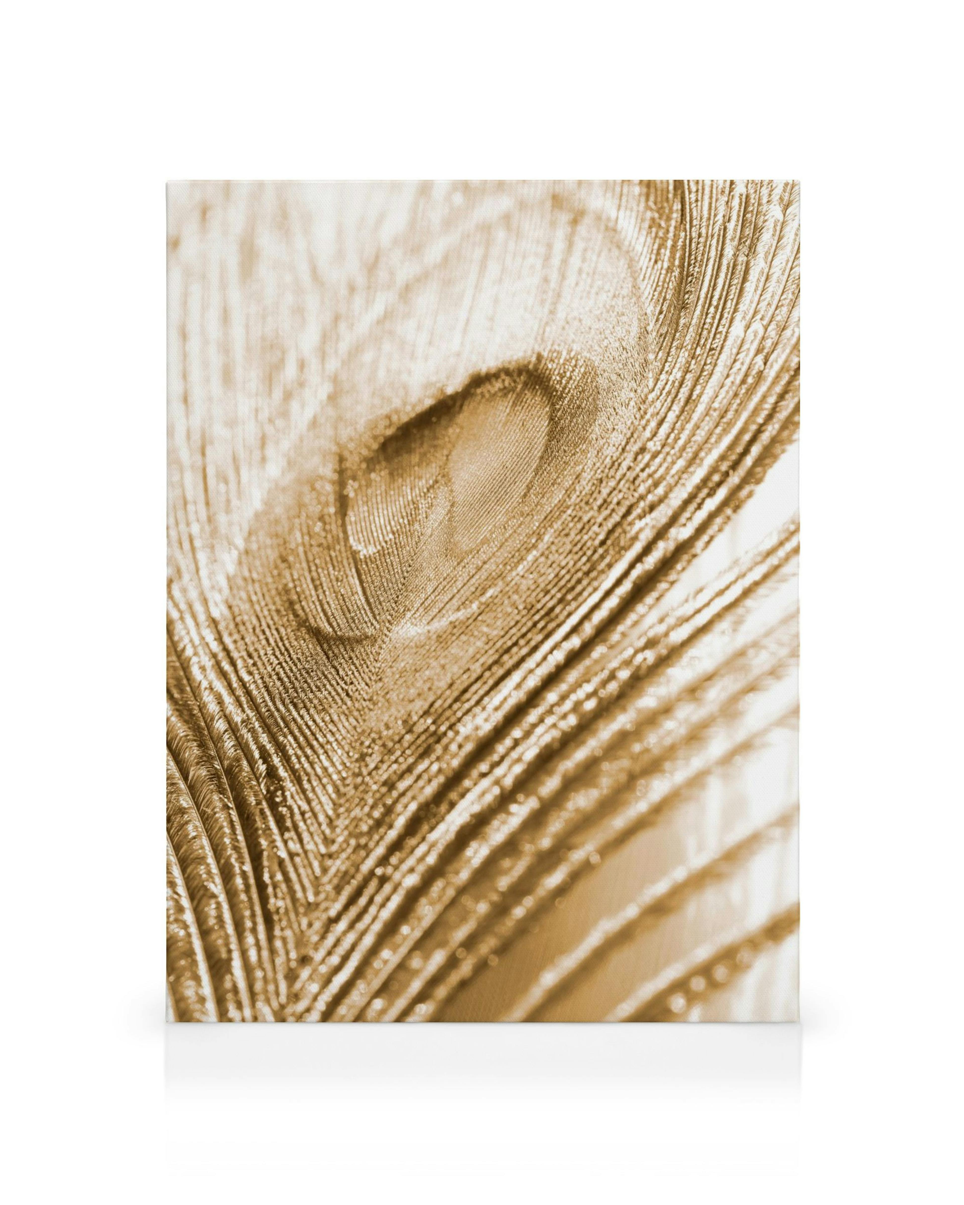 Gyldent lærred med detaljeret påfuglefjer, glitrende tekstur og elegant design, perfekt til vægkunst.