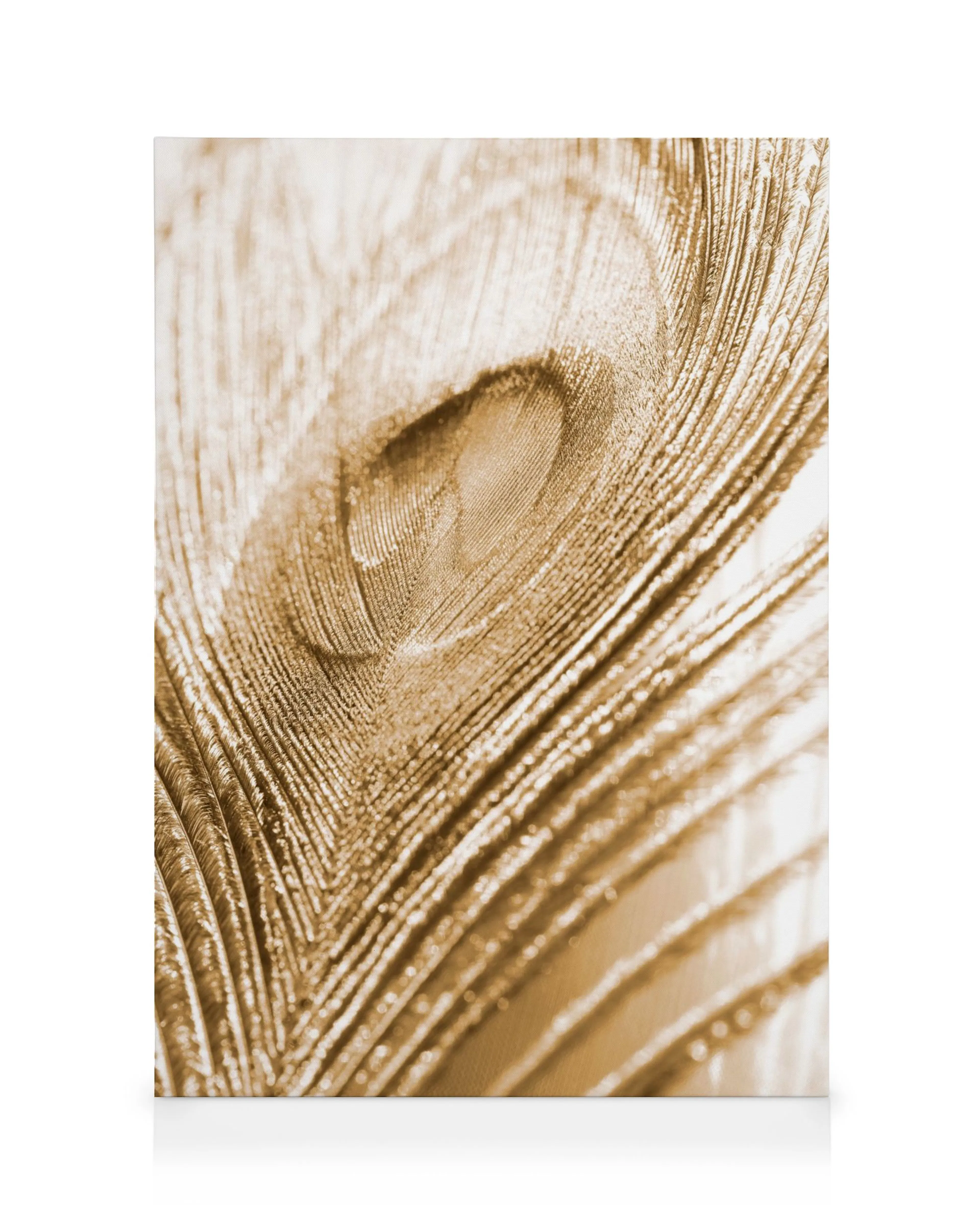 Toile sépia avec un gros plan dune plume de paon aux nuances de brun et beige, avec une forme ovale au centre.
