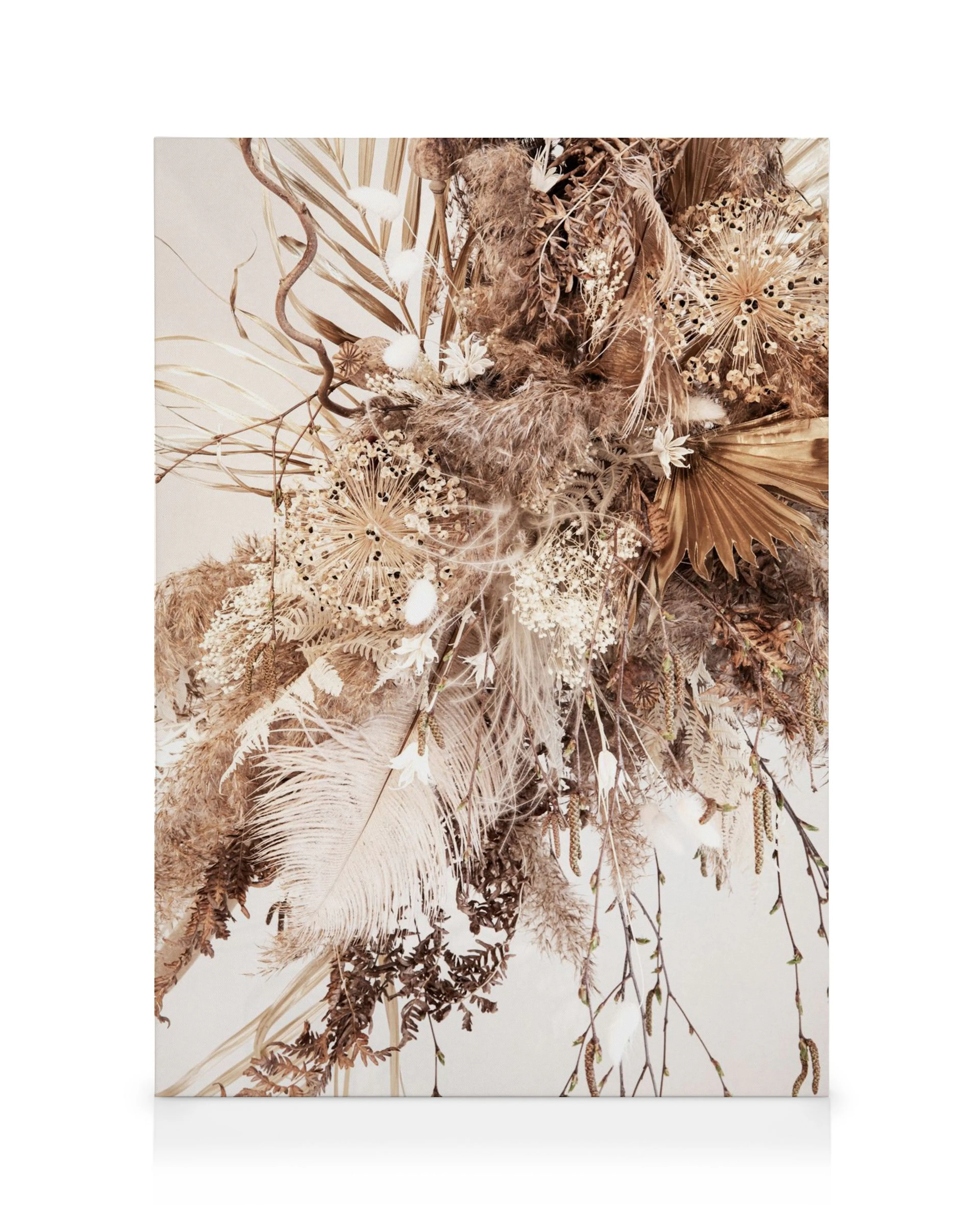 Dried plants and flowers in neutral beige, brown, white tones against a light background, organic textured feel.