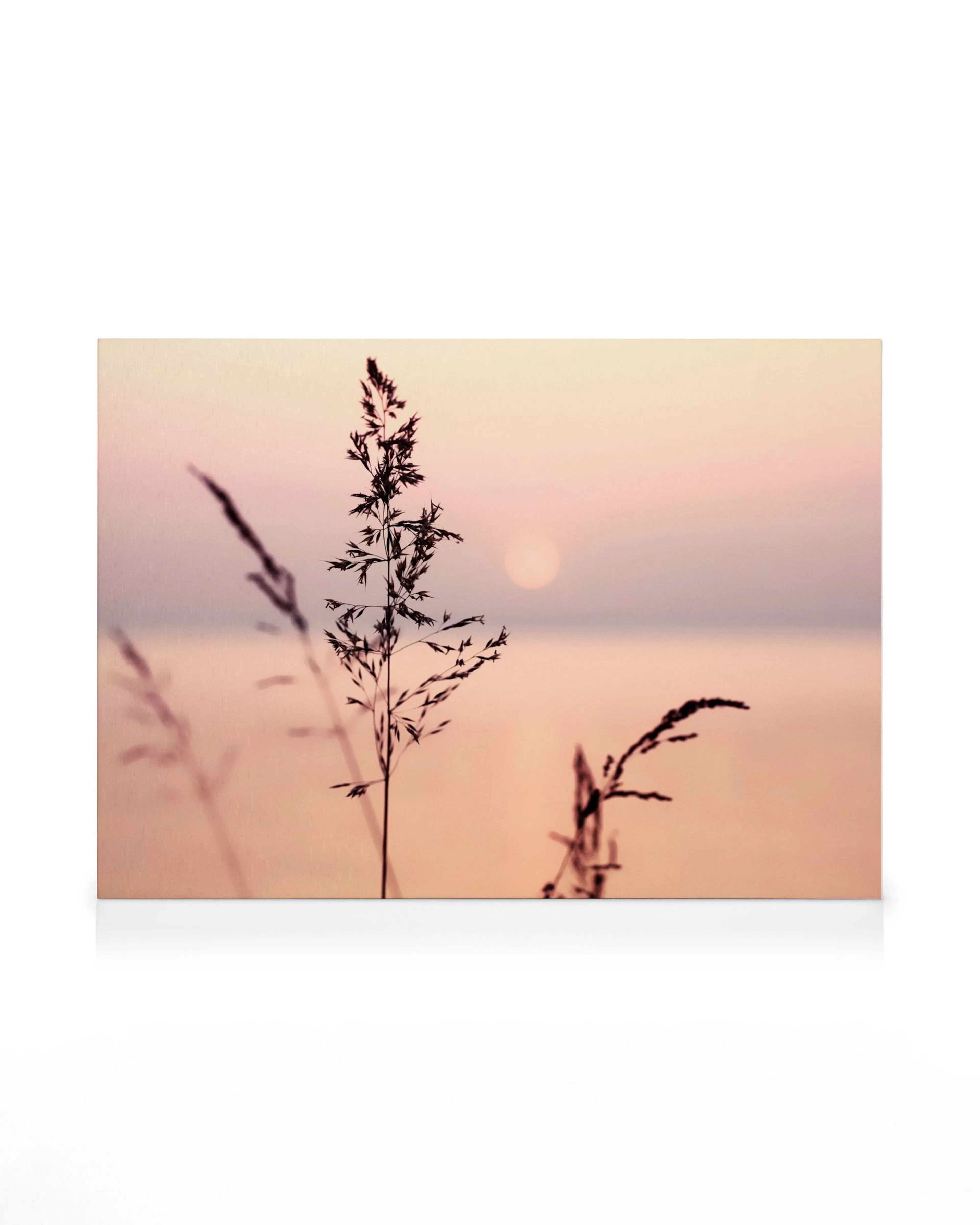 Toile de silhouettes dherbe au coucher du soleil, ciel rose-bleu et soleil brumeux sur plan deau calme, typographie naturelle