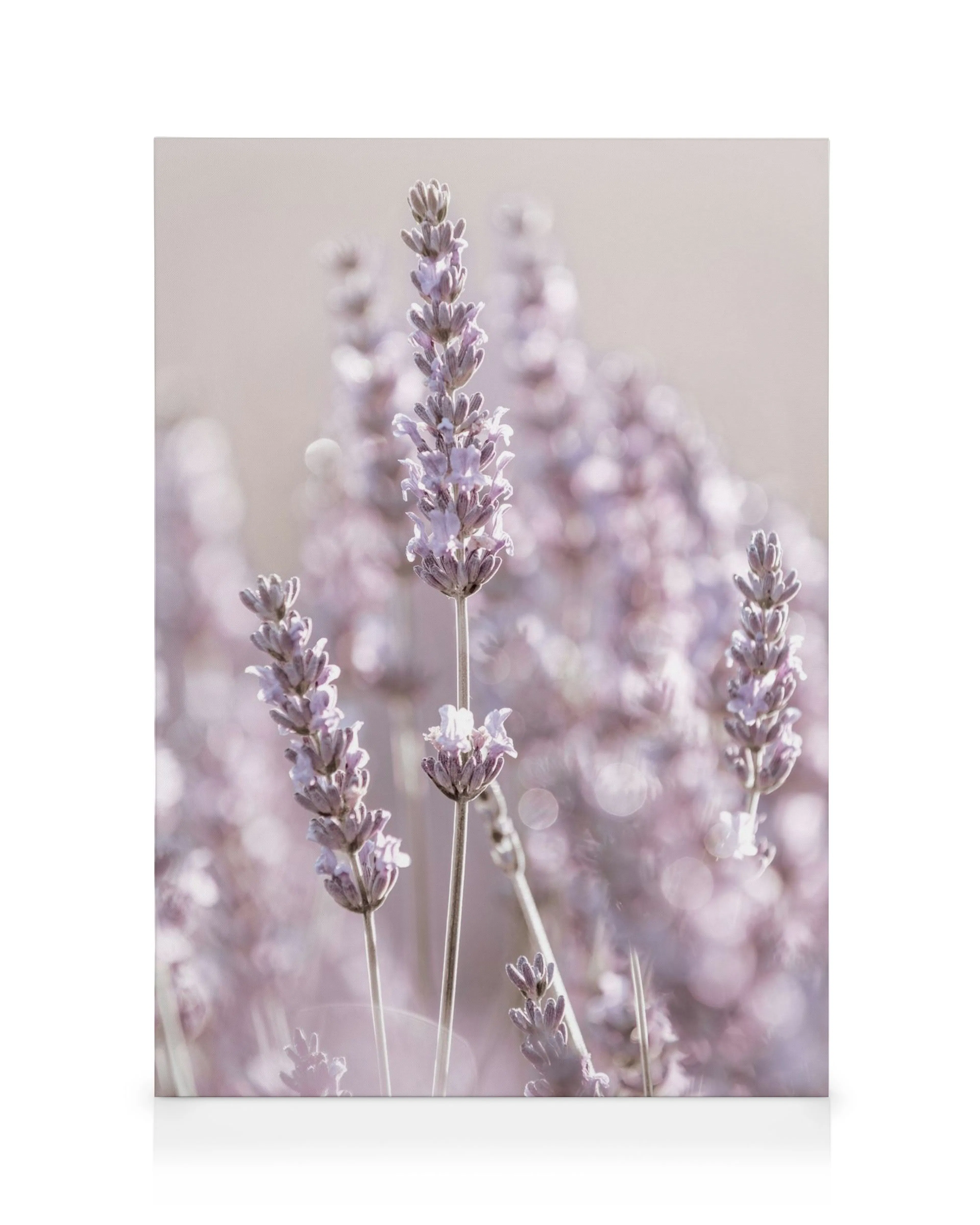 Stampa su tela floreale con fiori di lavanda viola su steli lunghi e sottili, sfondo bokeh sfocato