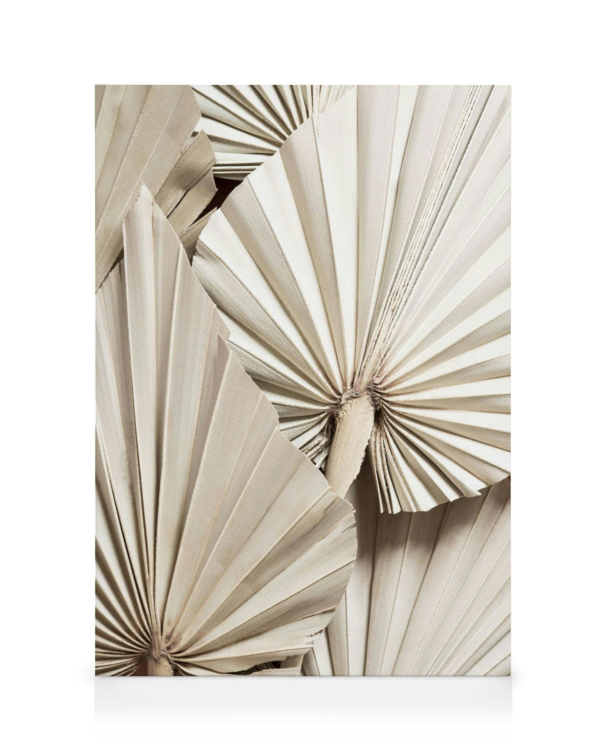Canvas Prints Pleated Palm Canvas print (50x70 cm - Black Frame)