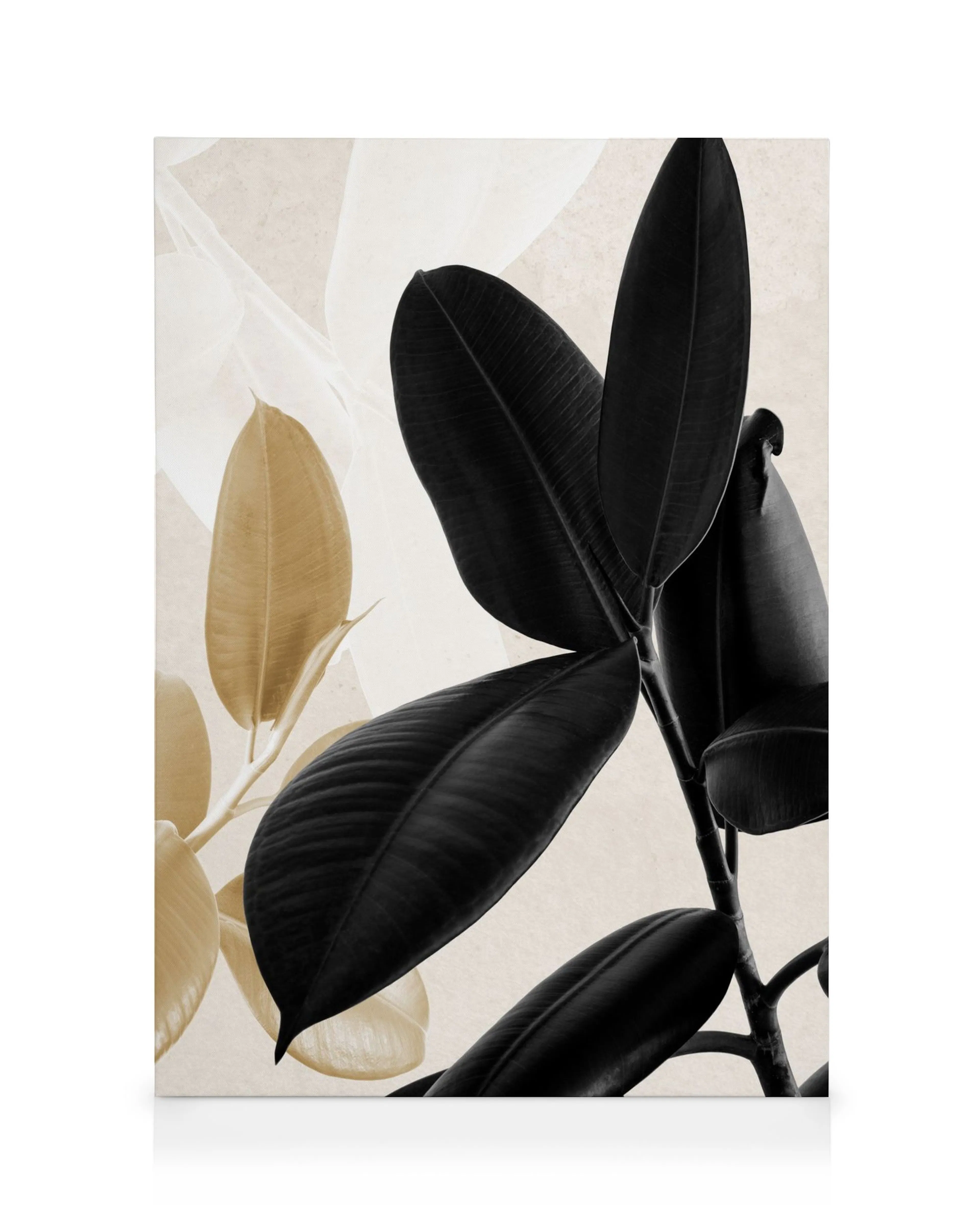 Elegant gold and black botanical canvas print featuring dark rubber plant leaves with soft beige background and light brown leav