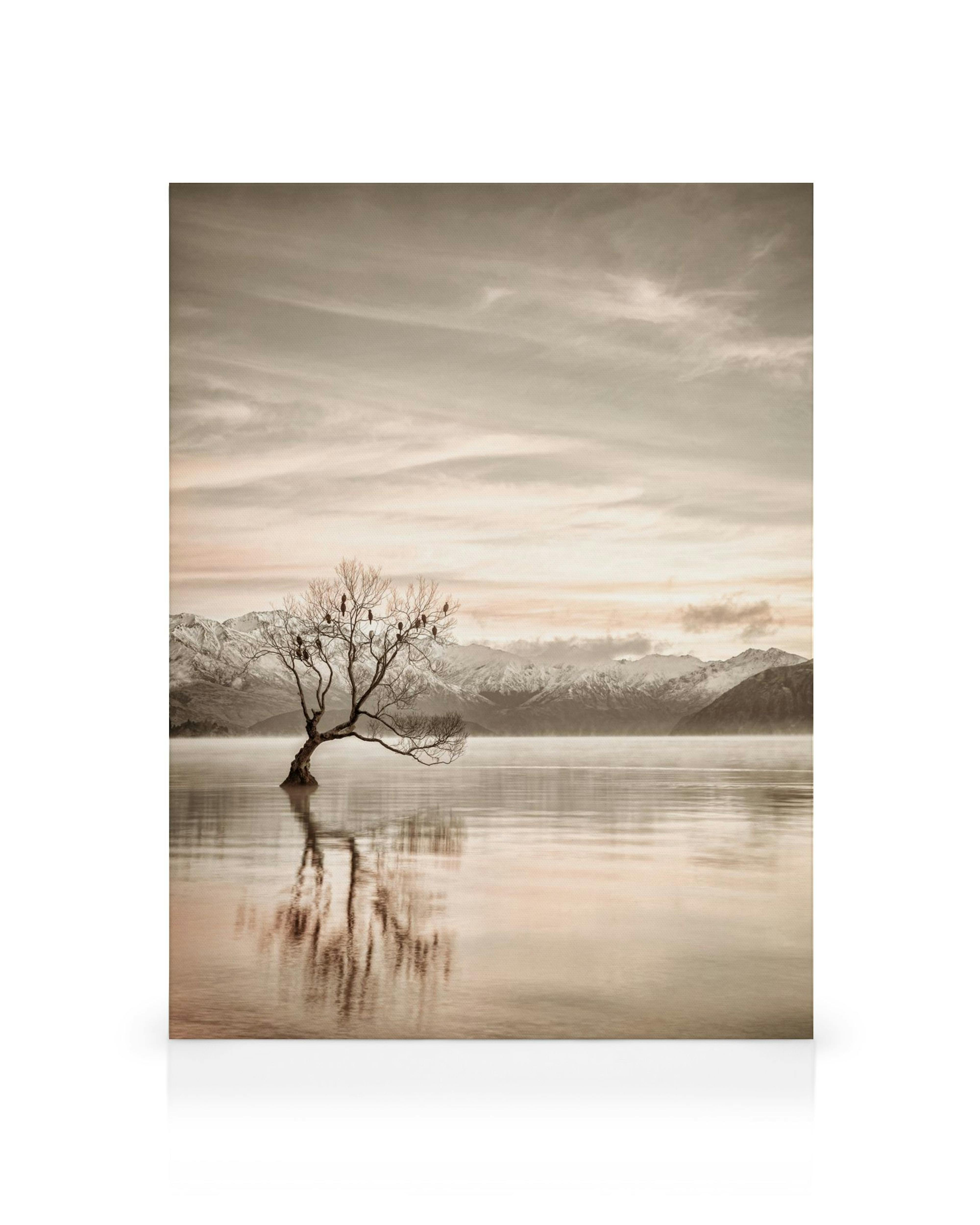 Toile de Wanaka, Nouvelle-Zélande, avec un arbre solitaire reflété dans leau, montagnes enneigées et ciel nuageux