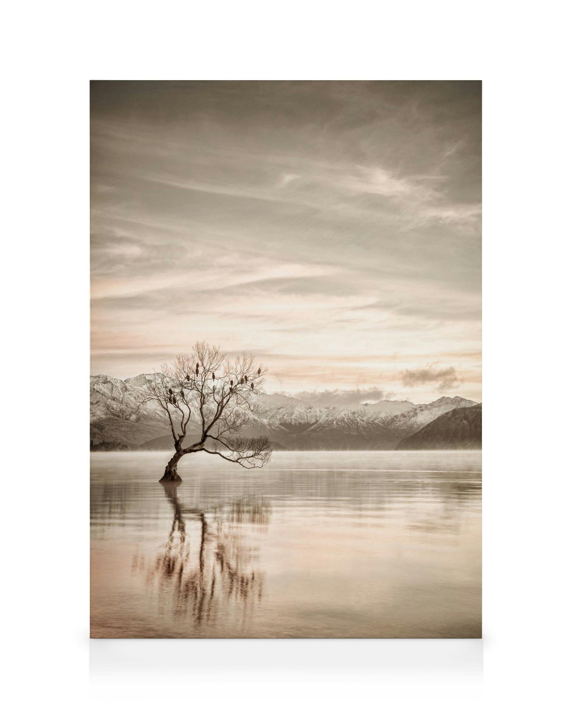 Leinwandbild des Wanaka Baumes in Neuseeland, mit schneebedeckten Bergen im Hintergrund und ruhigem See im Vordergrund. Sepiafar