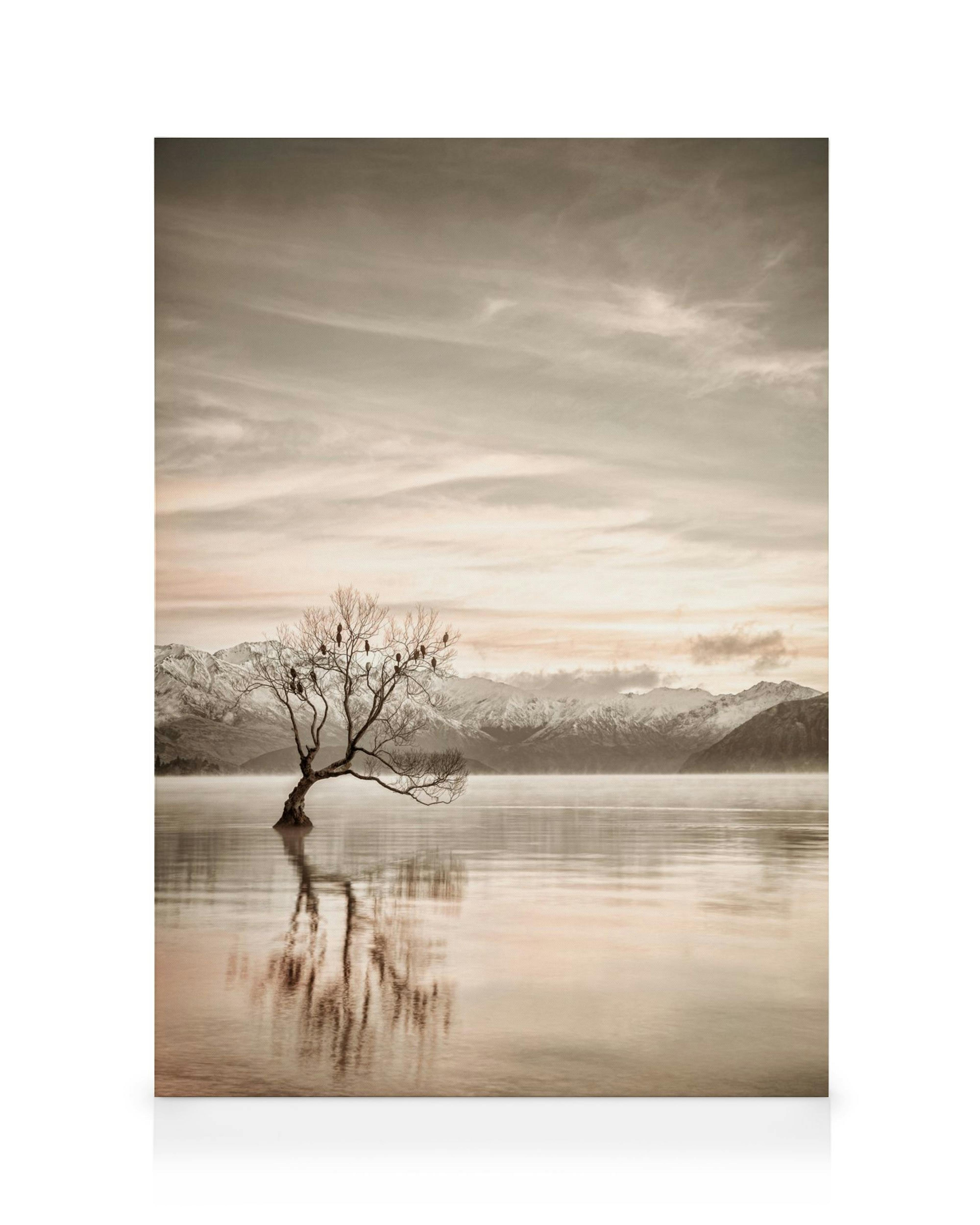 Leinwandbild des Wanaka Baumes in Neuseeland, mit schneebedeckten Bergen im Hintergrund und ruhigem See im Vordergrund. Sepiafar