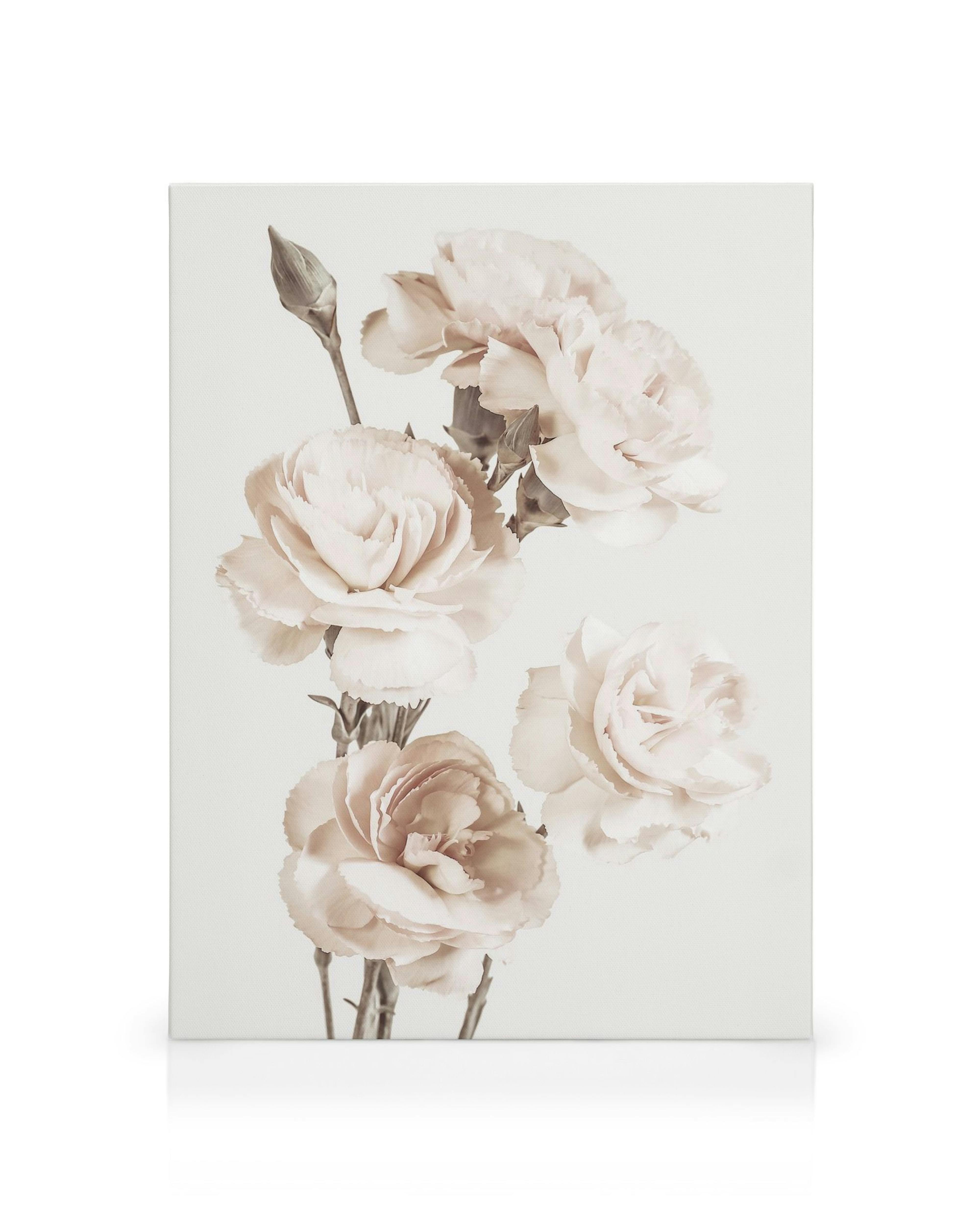 Quadro em tela com quatro cravos rosa claro e um botão, caules verdes, sobre fundo branco. Decoração floral elegante.