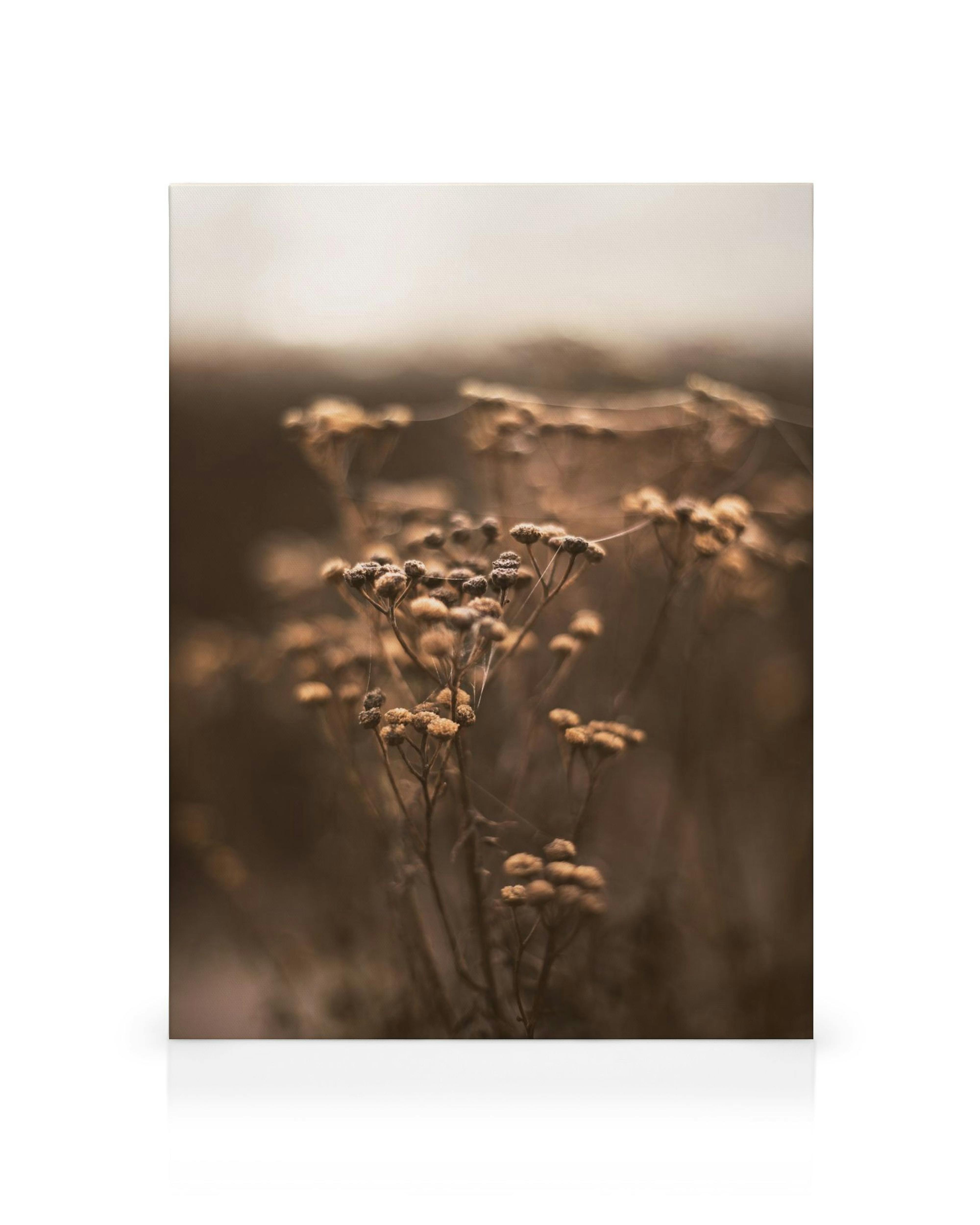 Toile botanique marron avec plantes texturées et lumière douce, ambiance naturelle et apaisante.