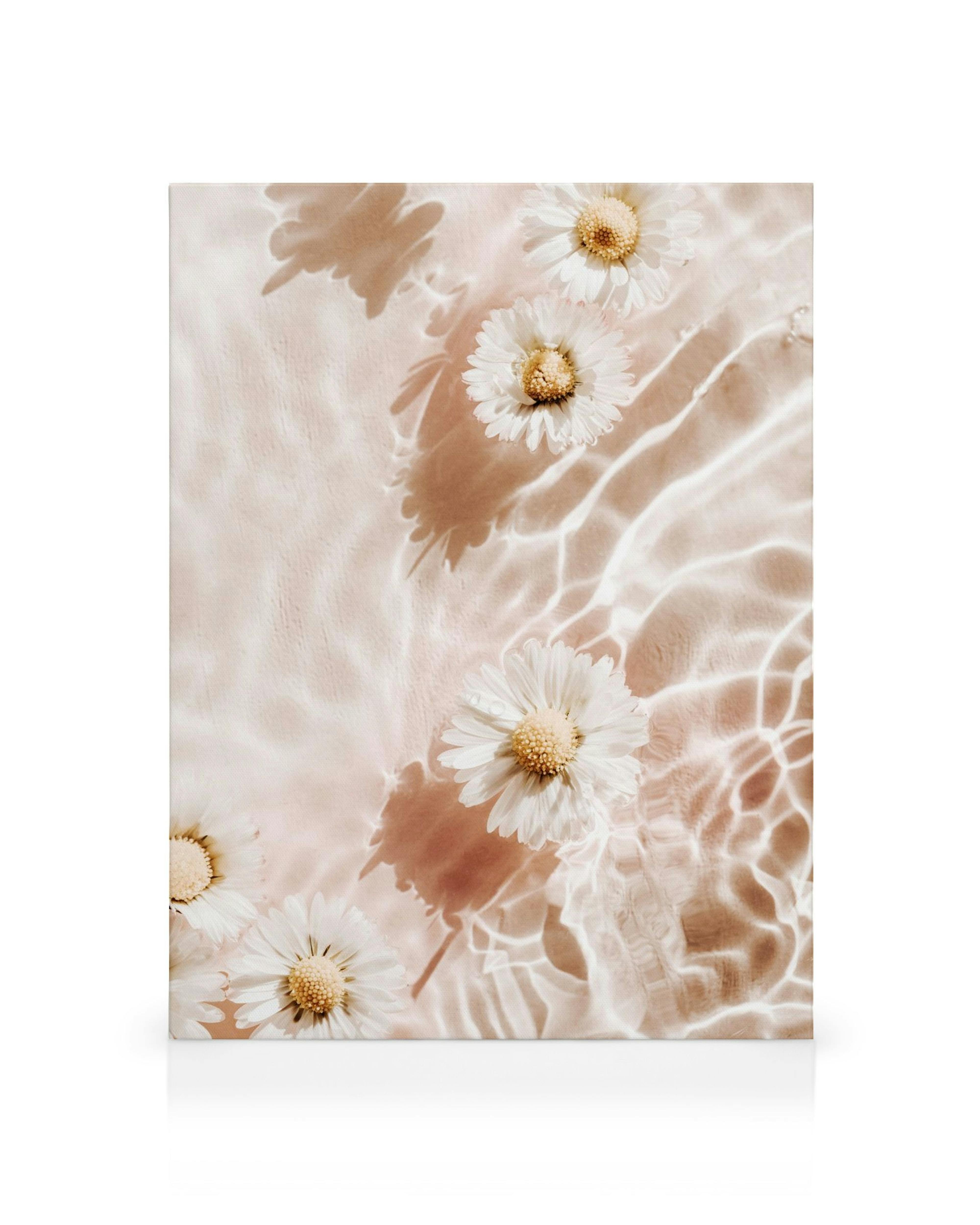 Stampa su tela con margherite bianche su sfondo rosa, riflessi dacqua che creano ombre dinamiche.