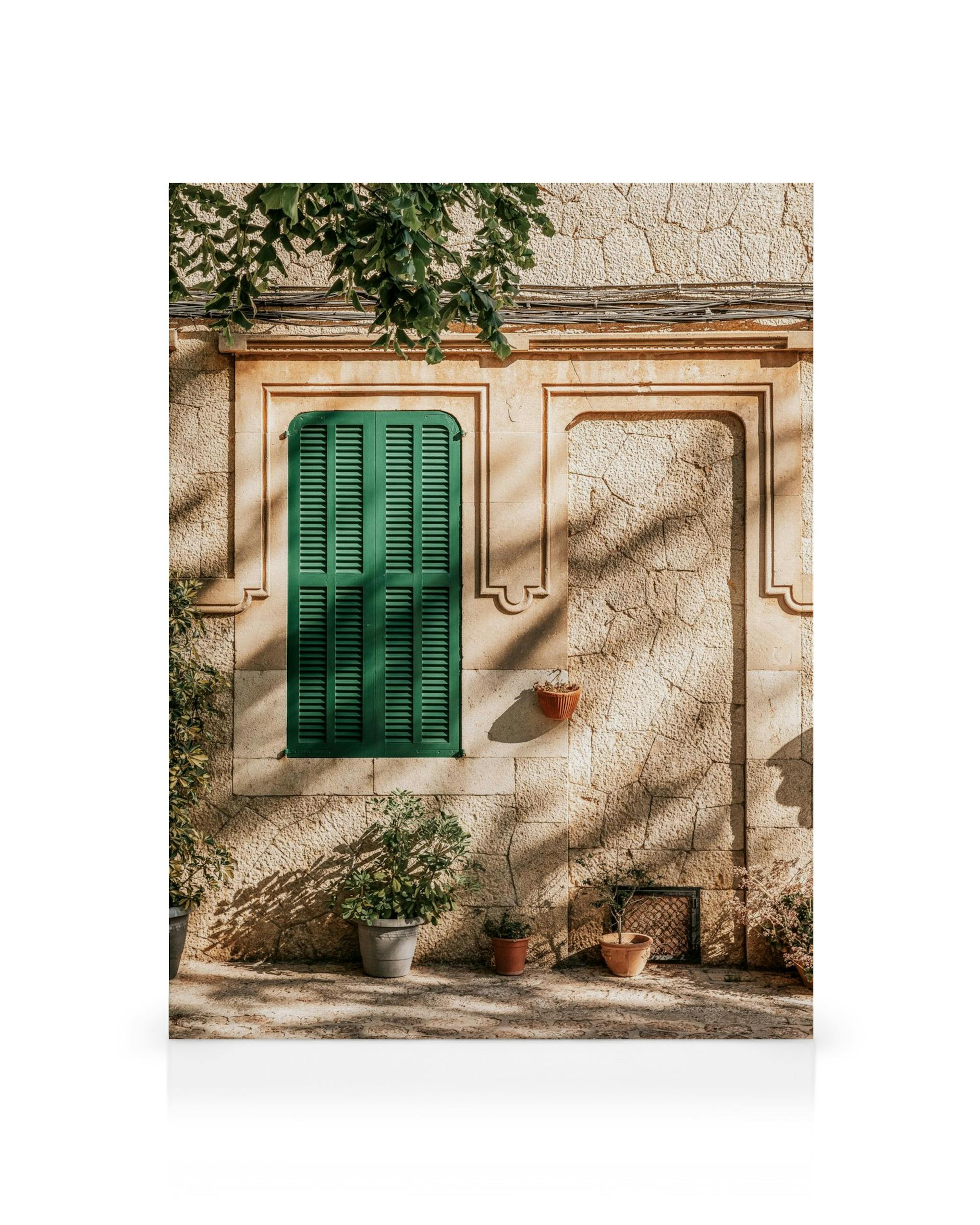 Architectuurfoto op canvas: beige muur, groen raam met luiken, bladschaduwen en potplanten.