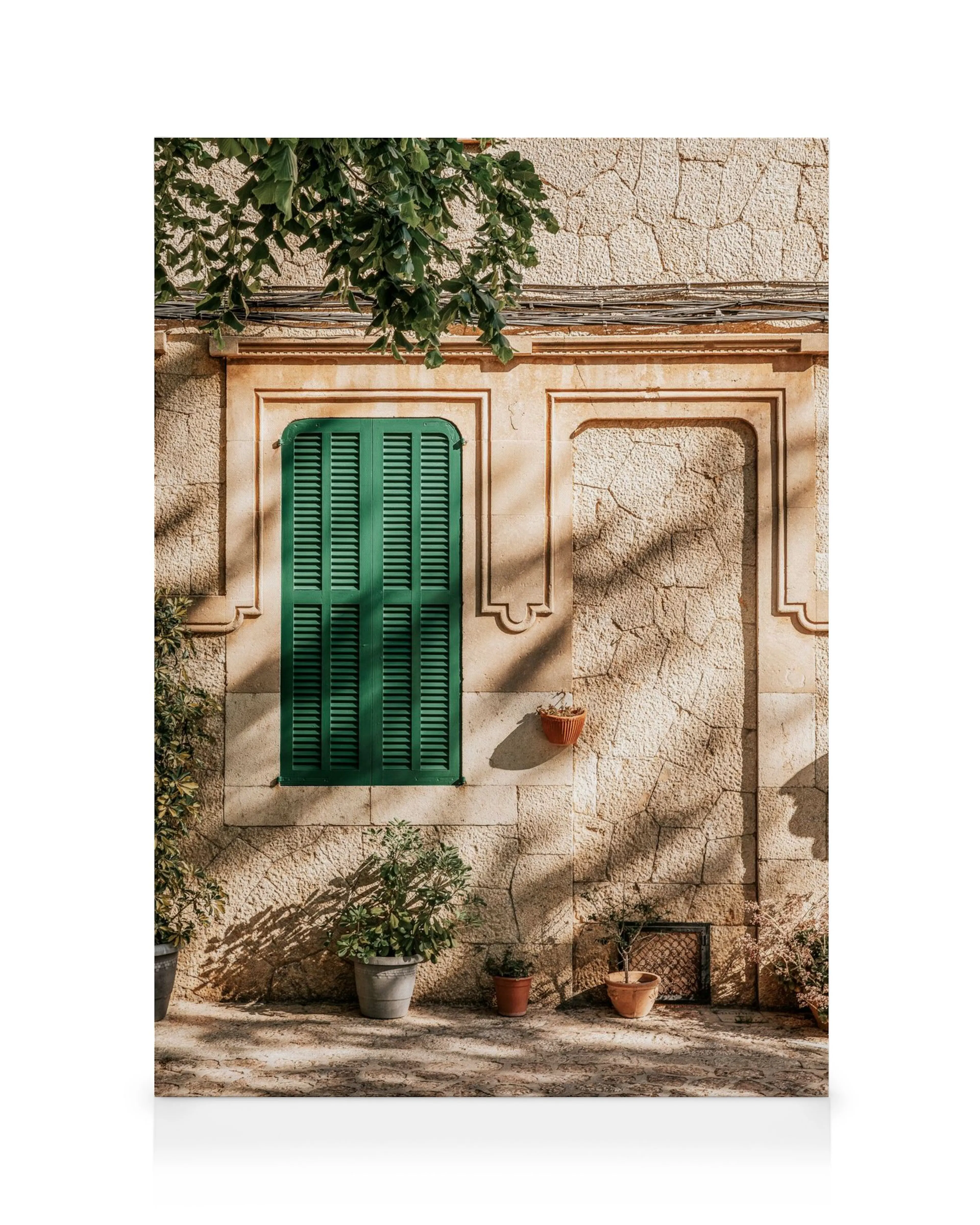 Toile architecture, mur beige, fenêtre verte, ombres de feuilles, plantes en pot, branche darbre