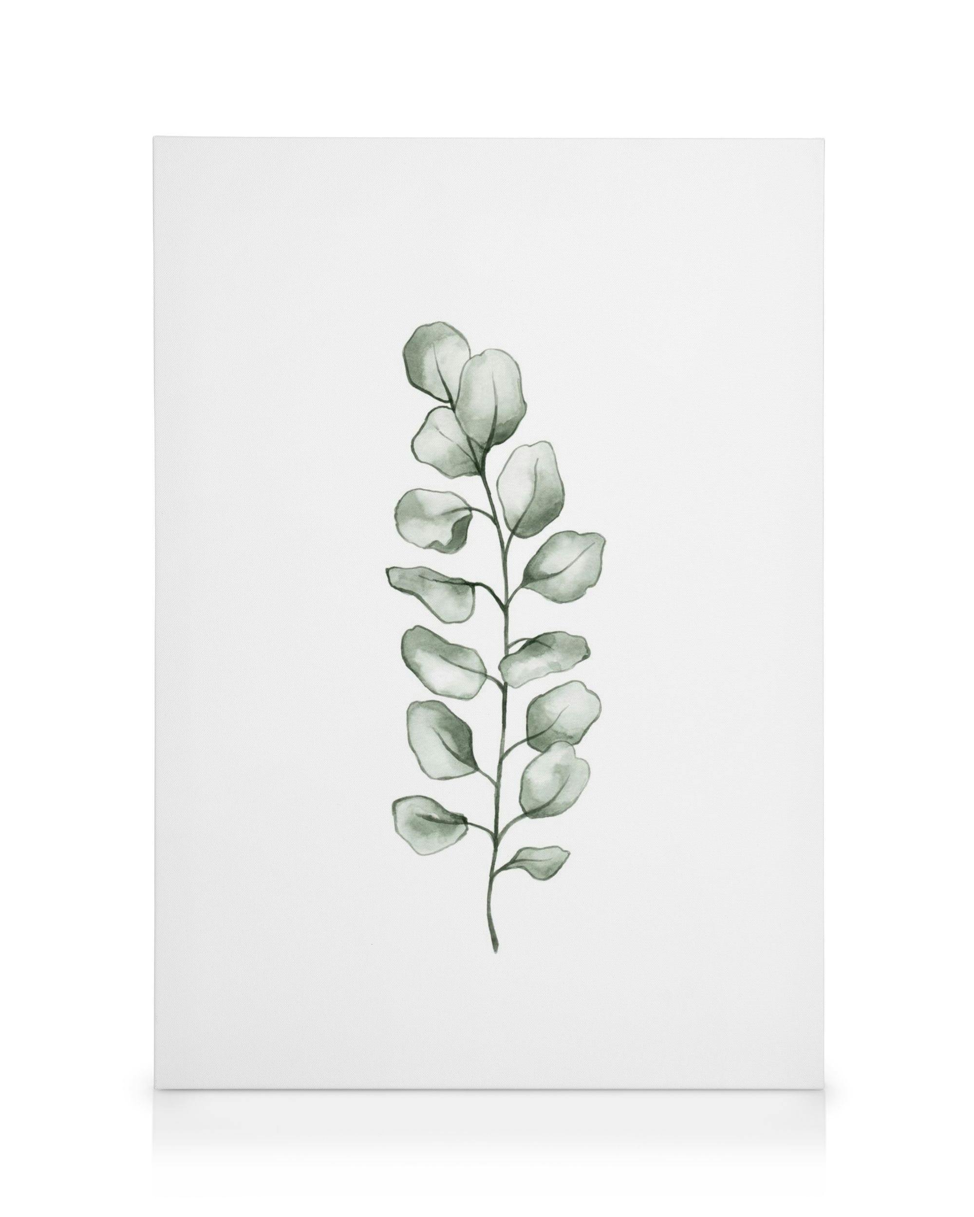 Watercolor Eucalyptus botanical canvas print with green leaves on white background