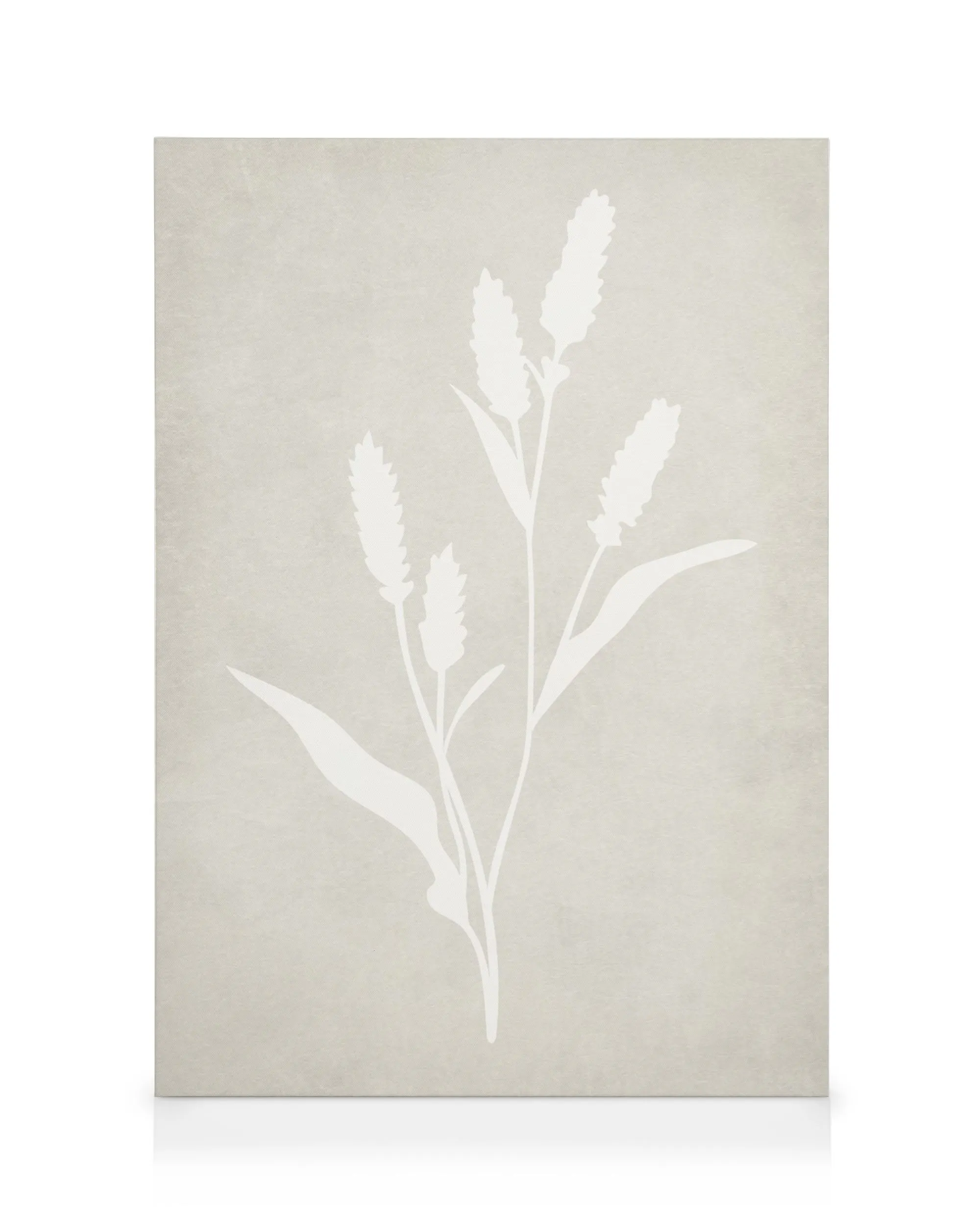 Minimalist canvas print with five white cactus plants on a grey textured background, with a white border