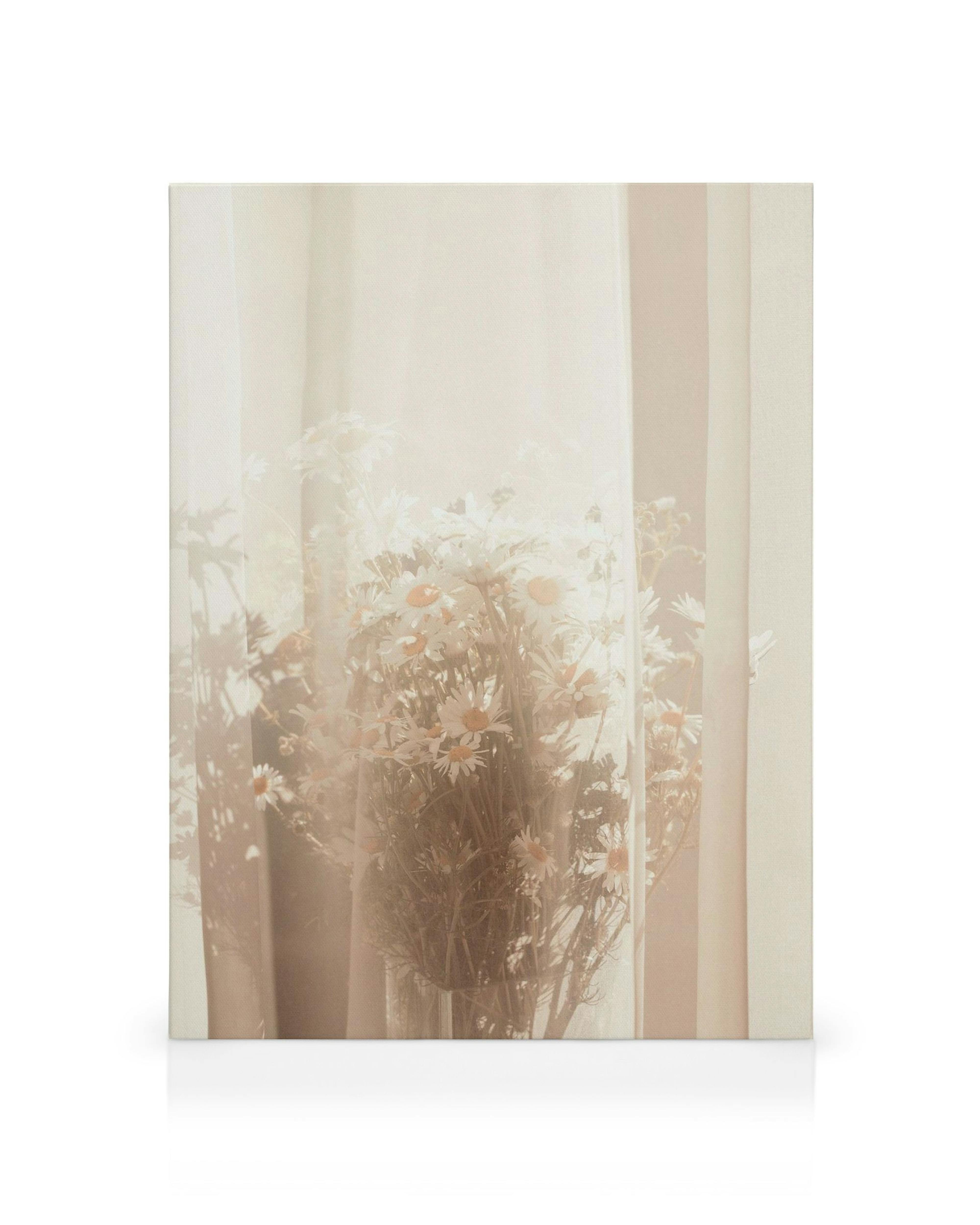 A canvas print of white daisies in a vase, softly blurred behind sheer, light-colored curtains, creating a dreamy, subdued flora