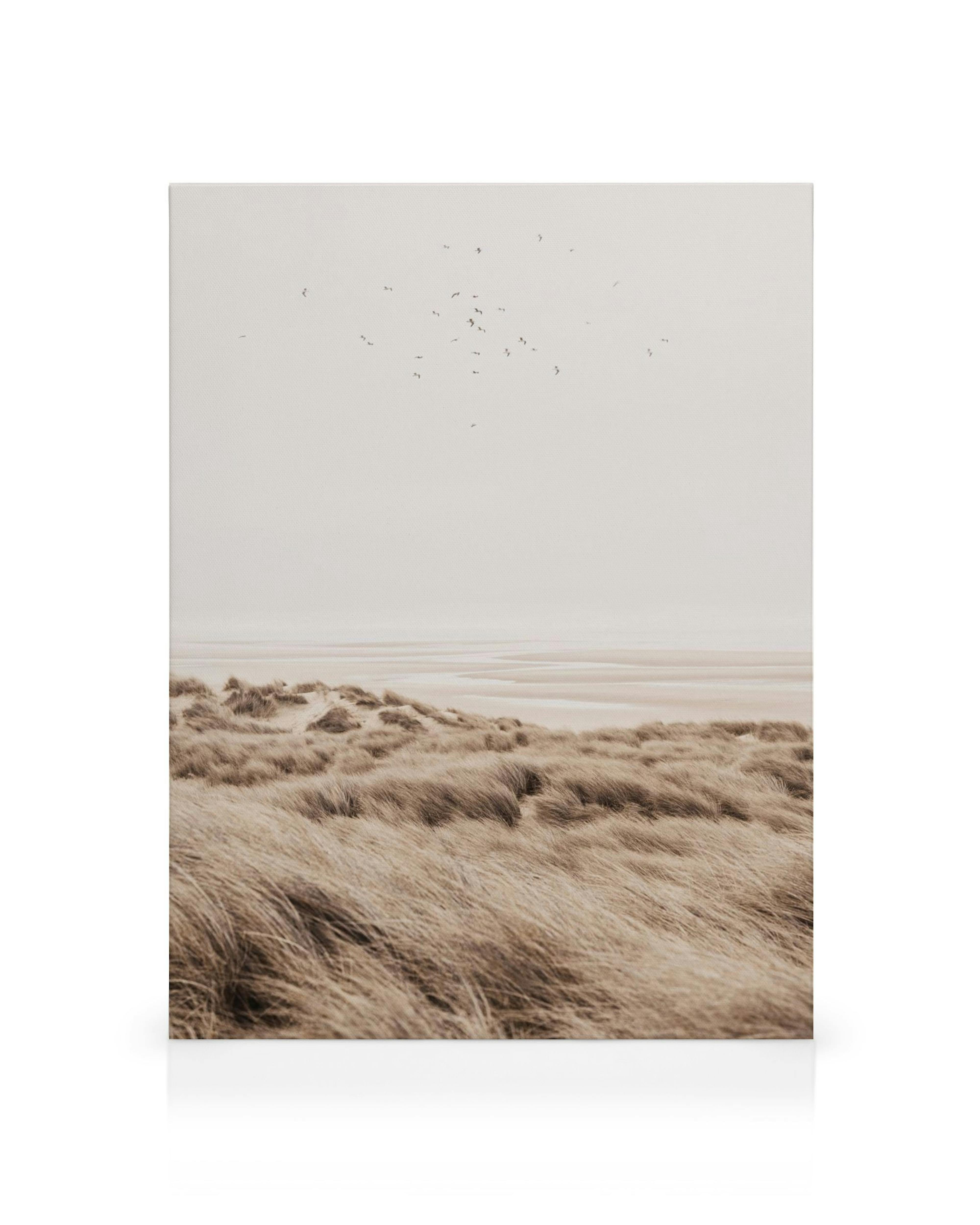Leinwandbild mit pastellfarbenen Sanddünen, weichen Gräsern, weitem Himmel und fliegenden Vögeln, ruhige Strandlandschaft