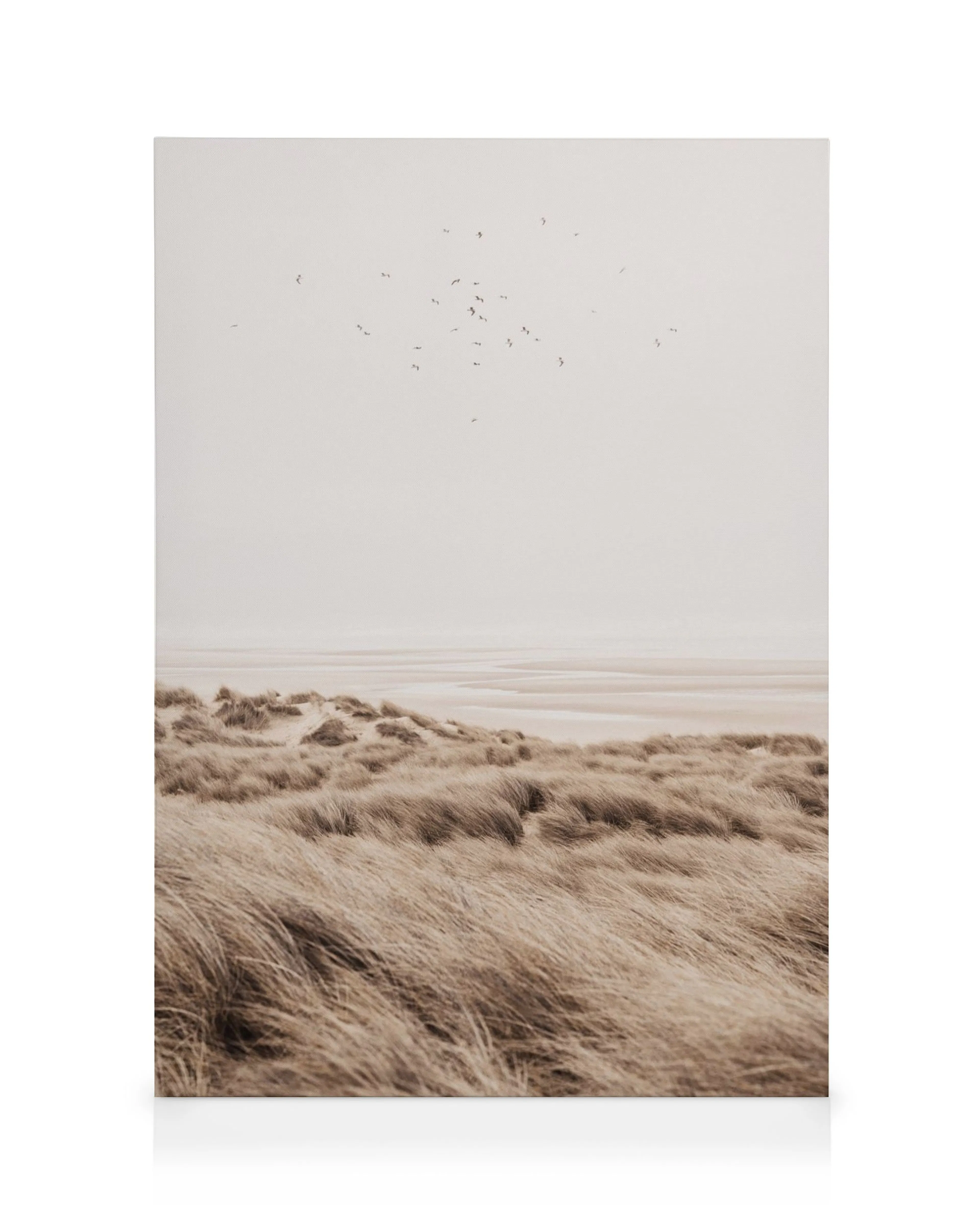 Leinwandbild beiger Sanddünen mit Gräsern und Vögeln am Strand, ruhige Naturlandschaft.