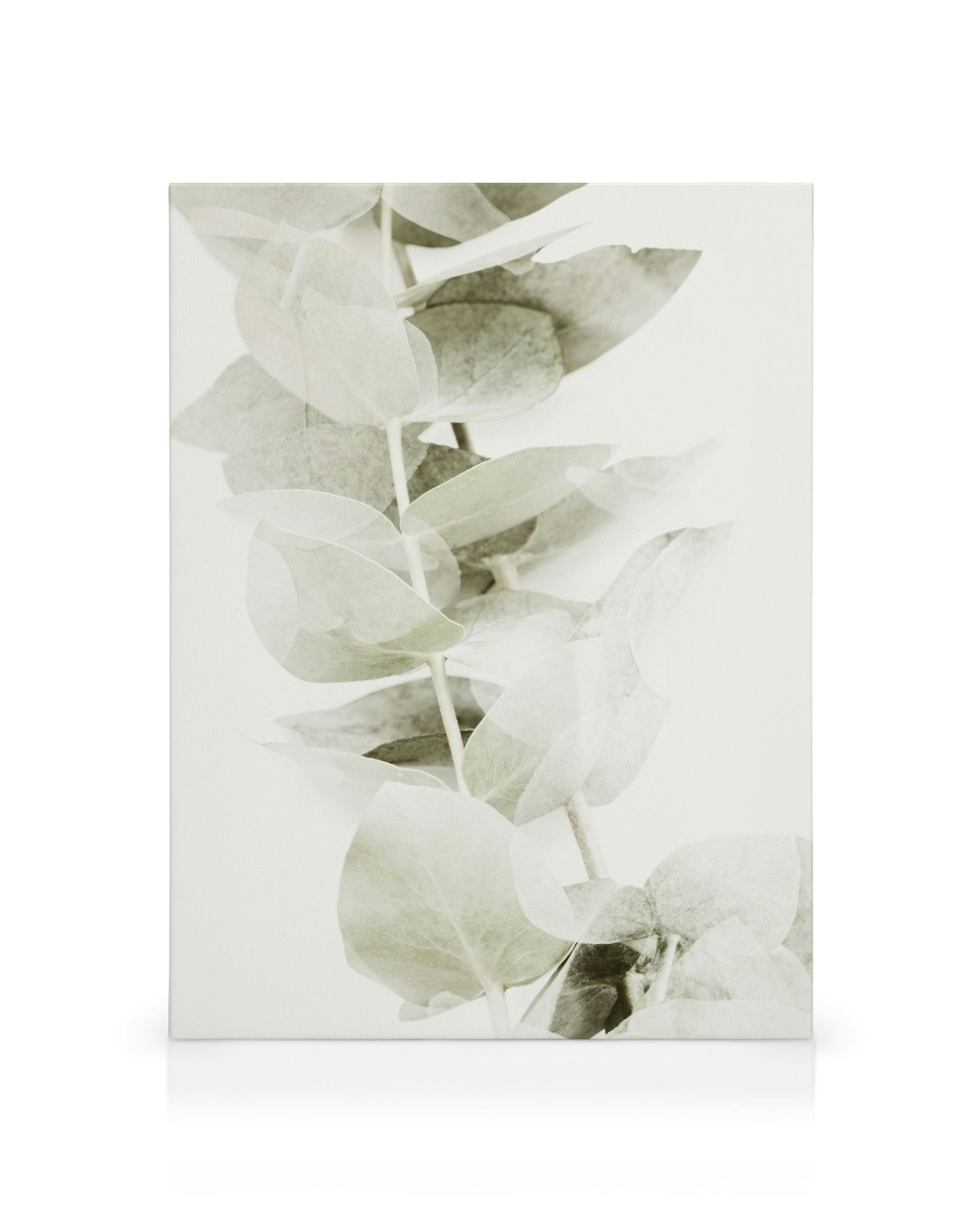 Abstraktes Eukalyptus-Leinwandbild mit hellgrünen Blättern auf weißem Hintergrund, beruhigende Naturkunst.