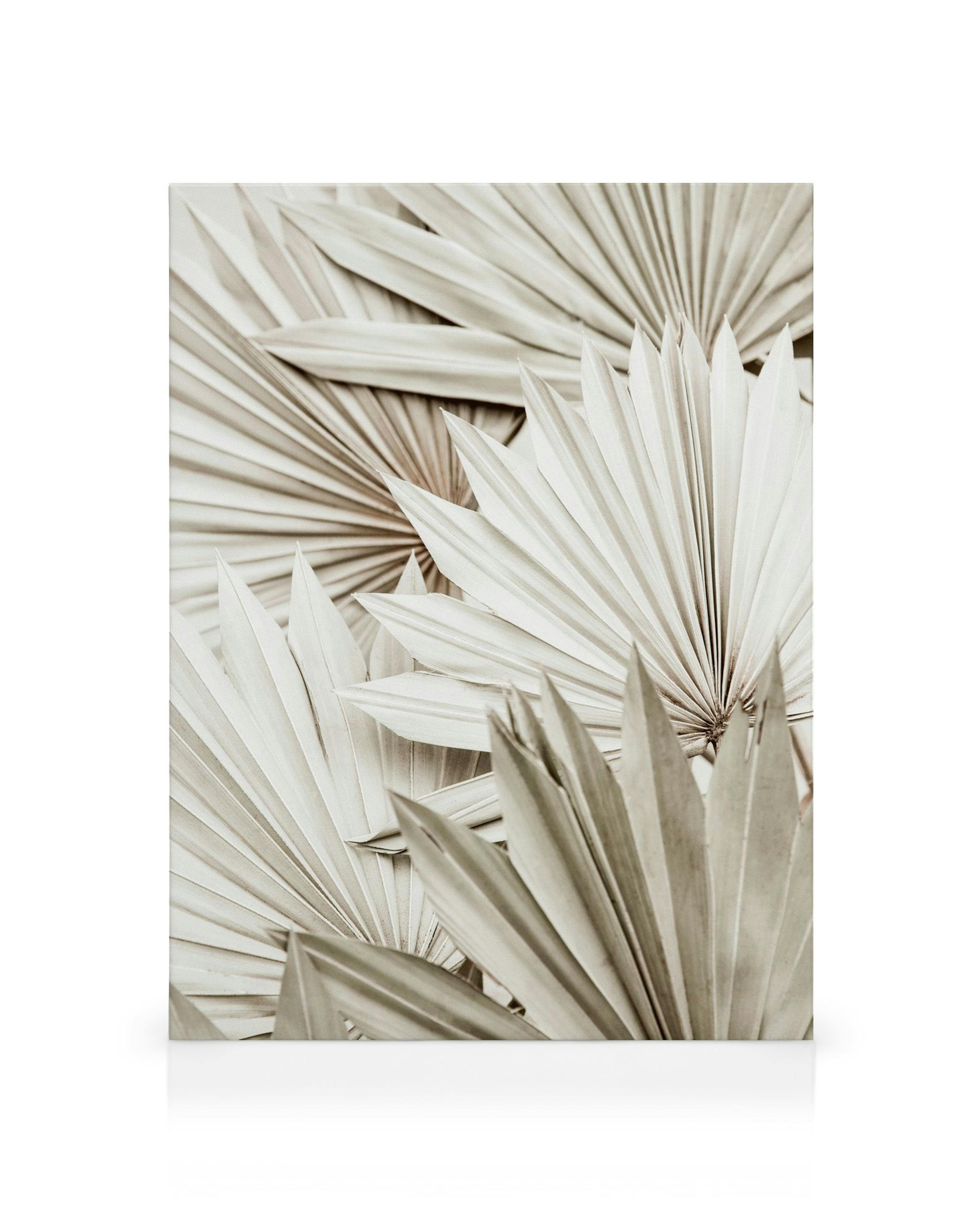 Witte palmbladeren canvas, botanische bladeren in beige en wit, stervormig patroon, natuurlijke wanddecoratie