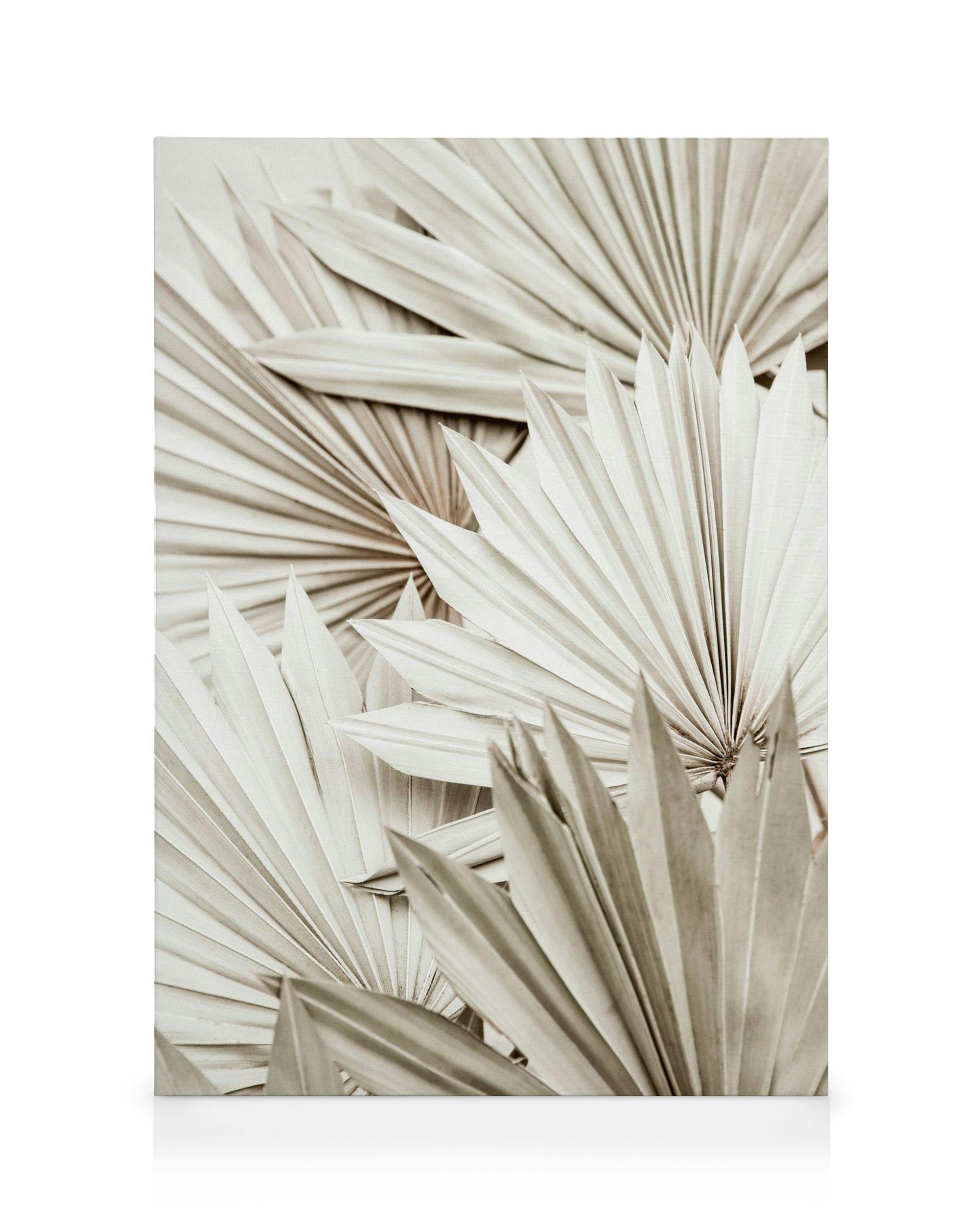 Canvas Prints White Palm Canvas print (30x40 cm)