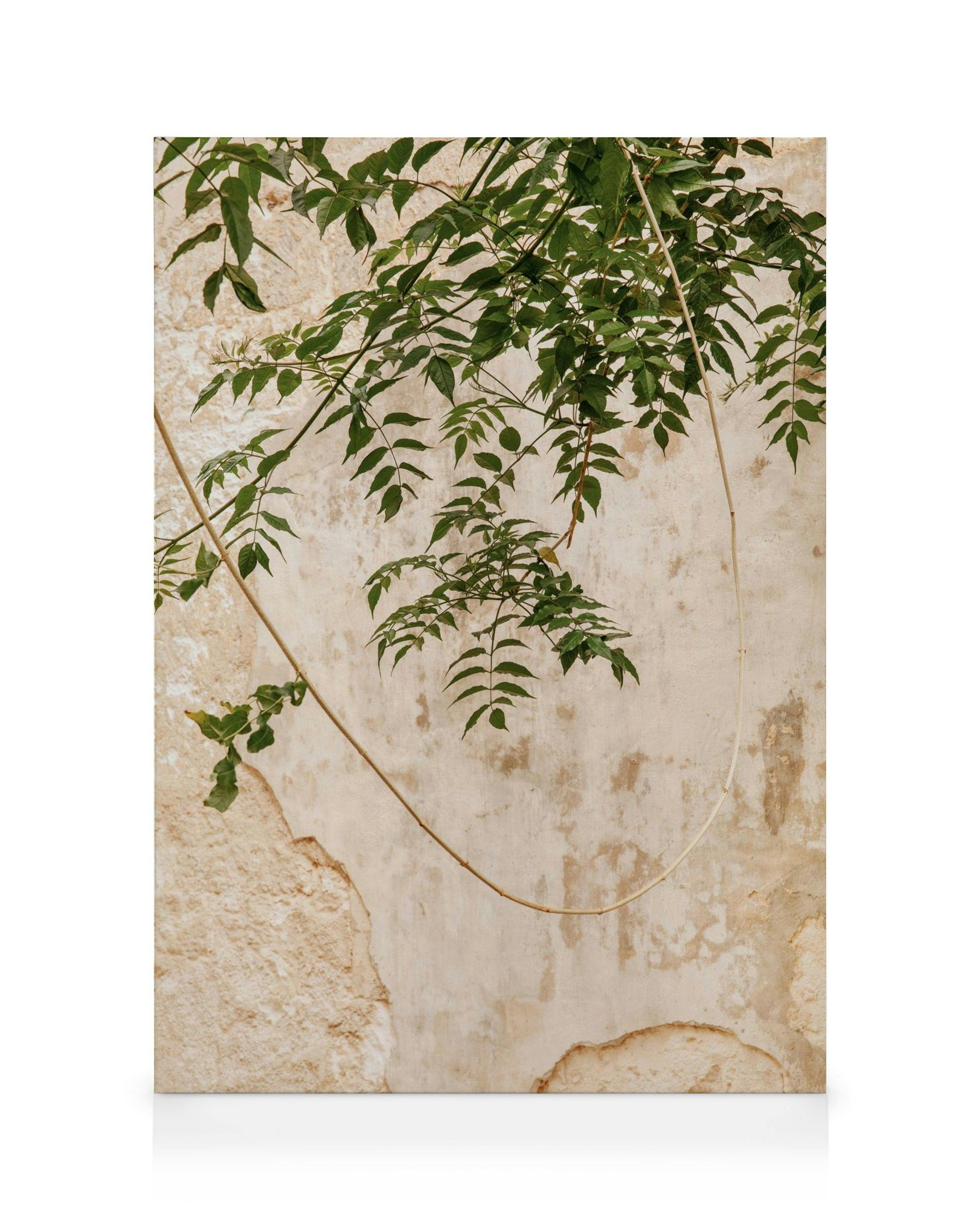 Concrete Leaves Poster (30x40 cm - Cadre noir) - Plantes vertes par Desenio