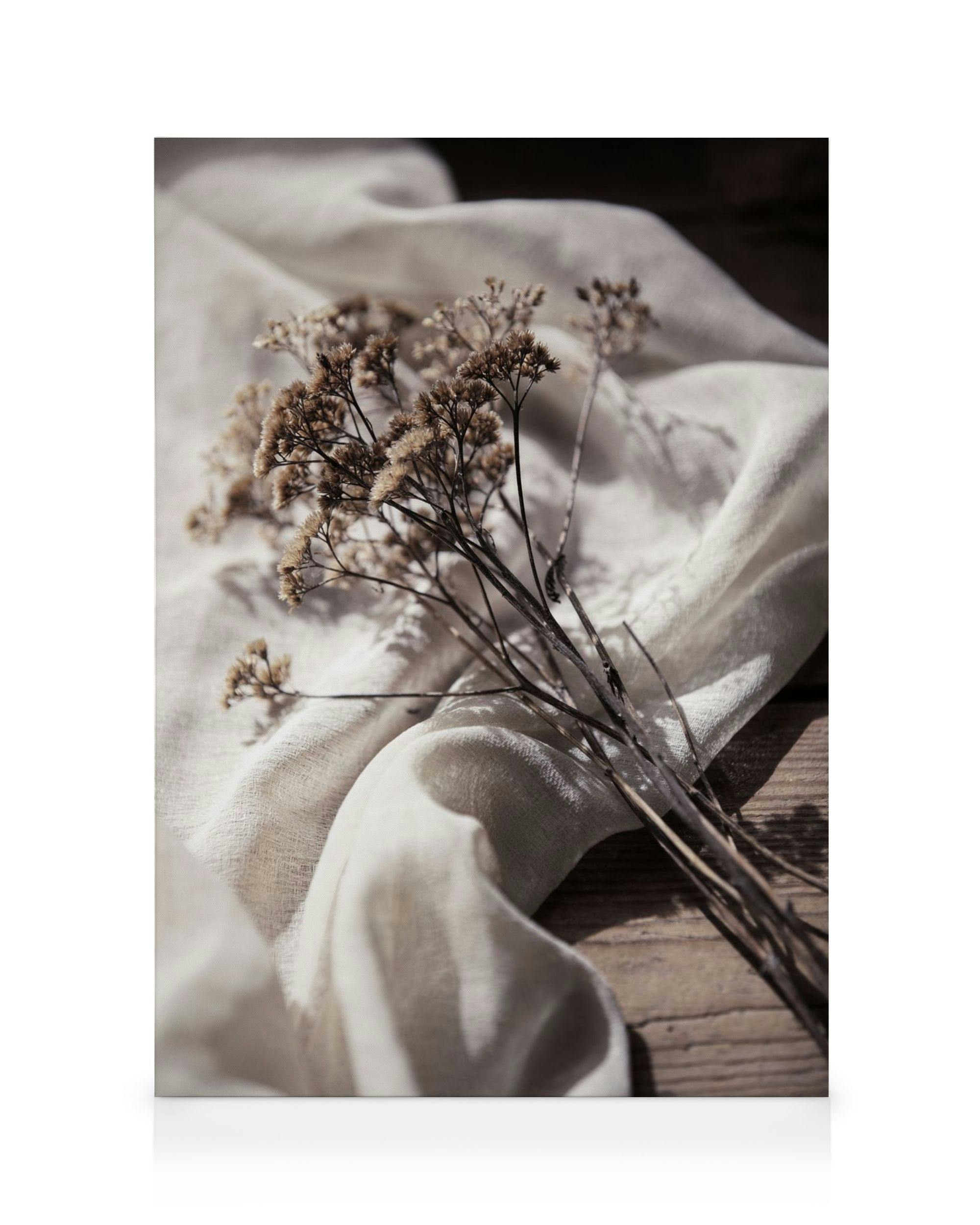 Leinwandbilder Dried Bed Leinwandbild (30x40 cm)