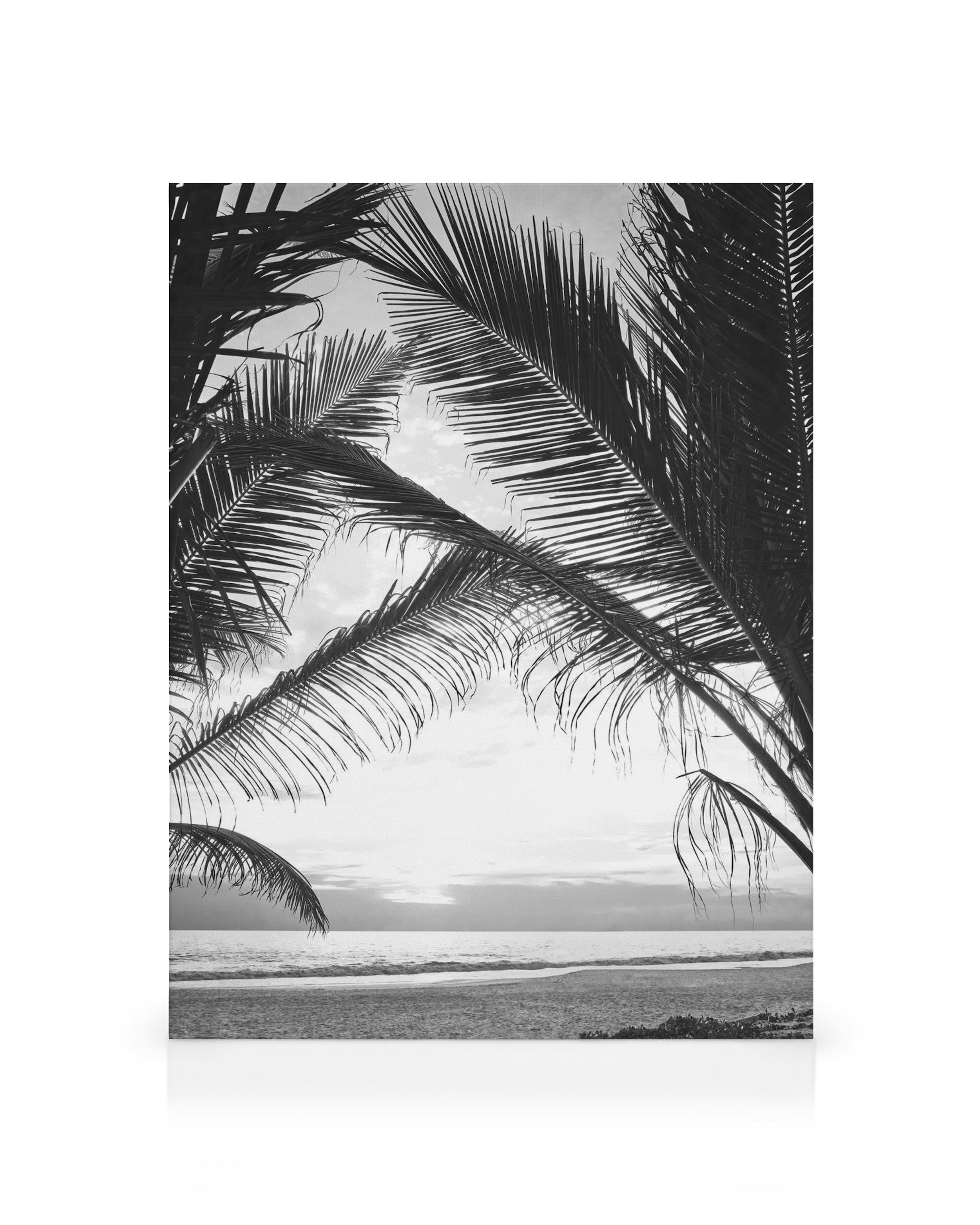 Schwarz-weißes Leinwandbild mit Palmenblättern, die den Blick auf einen ruhigen Strand und das Meer rahmen, ideal für eine entsp