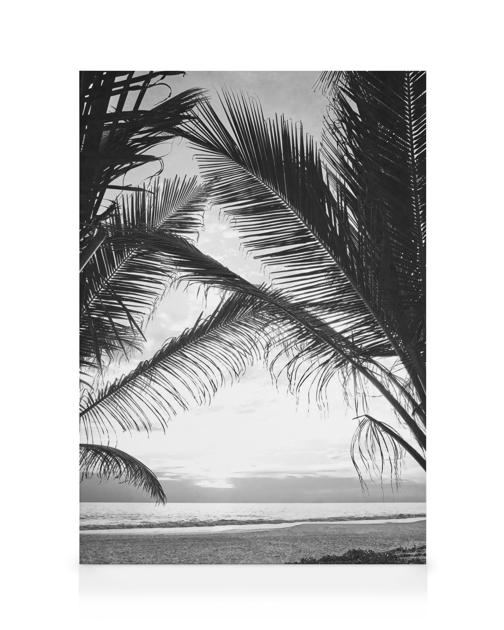 Between Palm Leafs Tableau sur toile (30x40 cm) - Noir et blanc par Desenio
