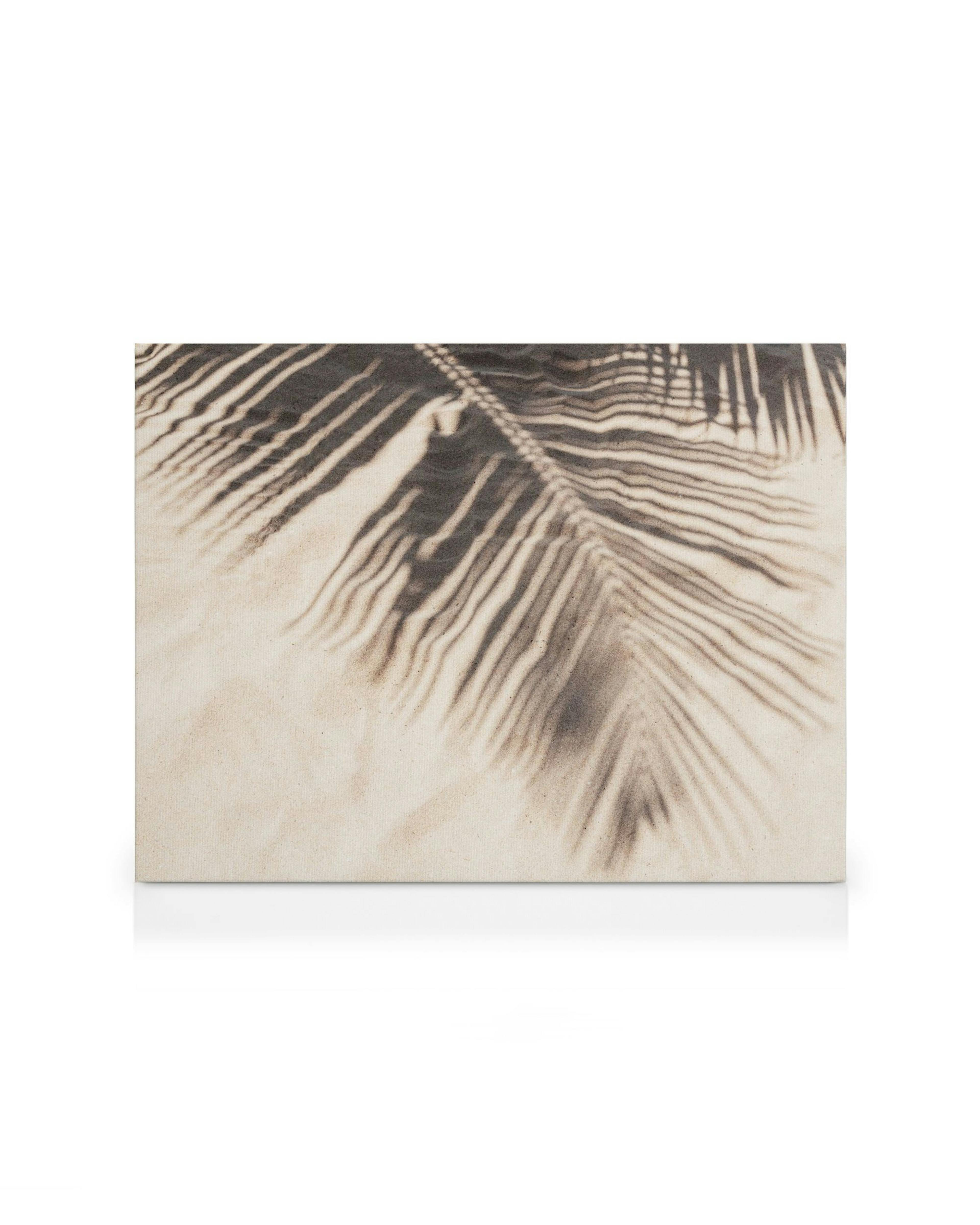 Obraz na plátne s tieňom palmových listov na piesku, v odtieňoch hnedej a béžovej, s tropickým motívom.