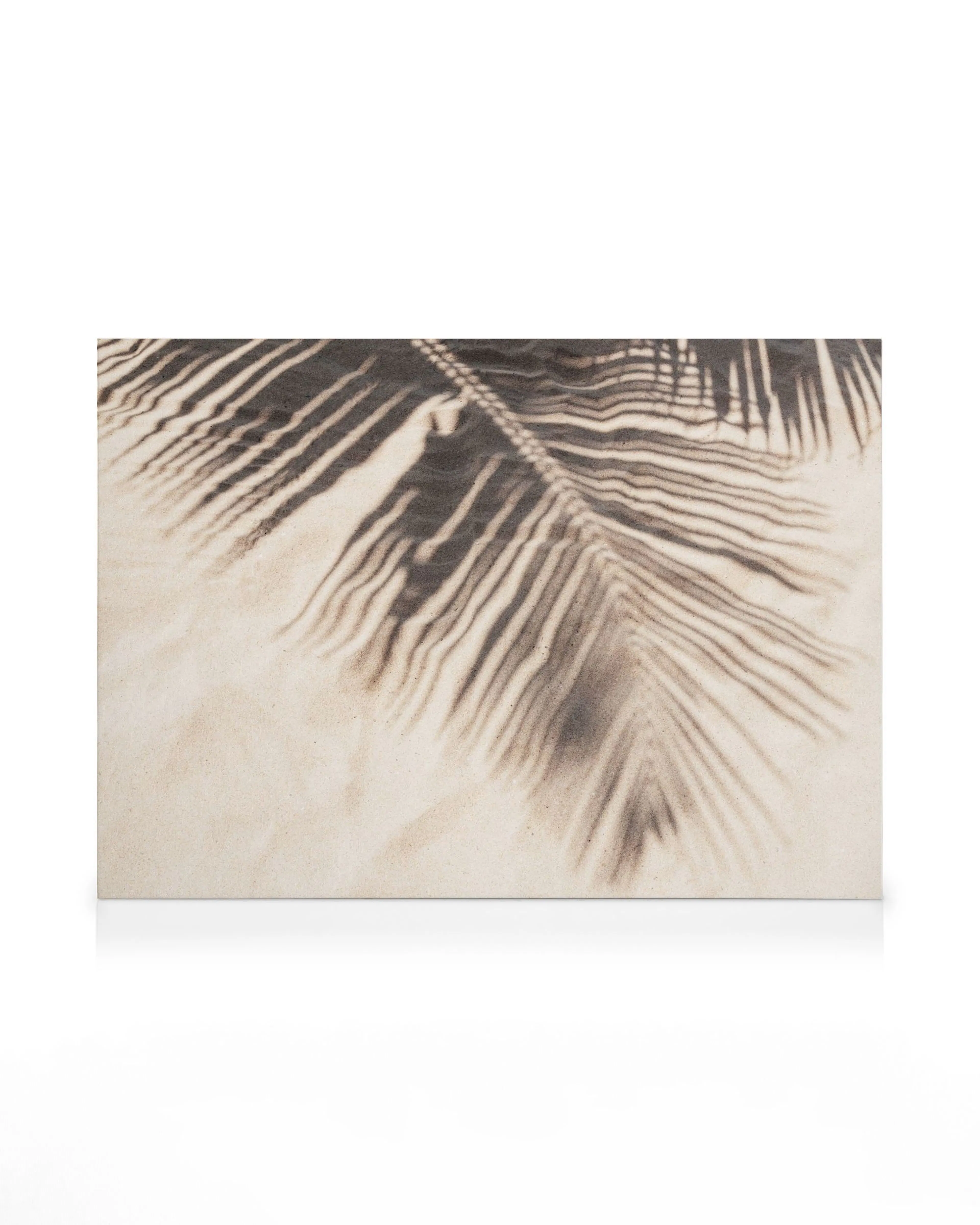 Tropical Shadow Canvas shows a palm fronds shadow on light sand, creating a serene, natural beach art scene.
