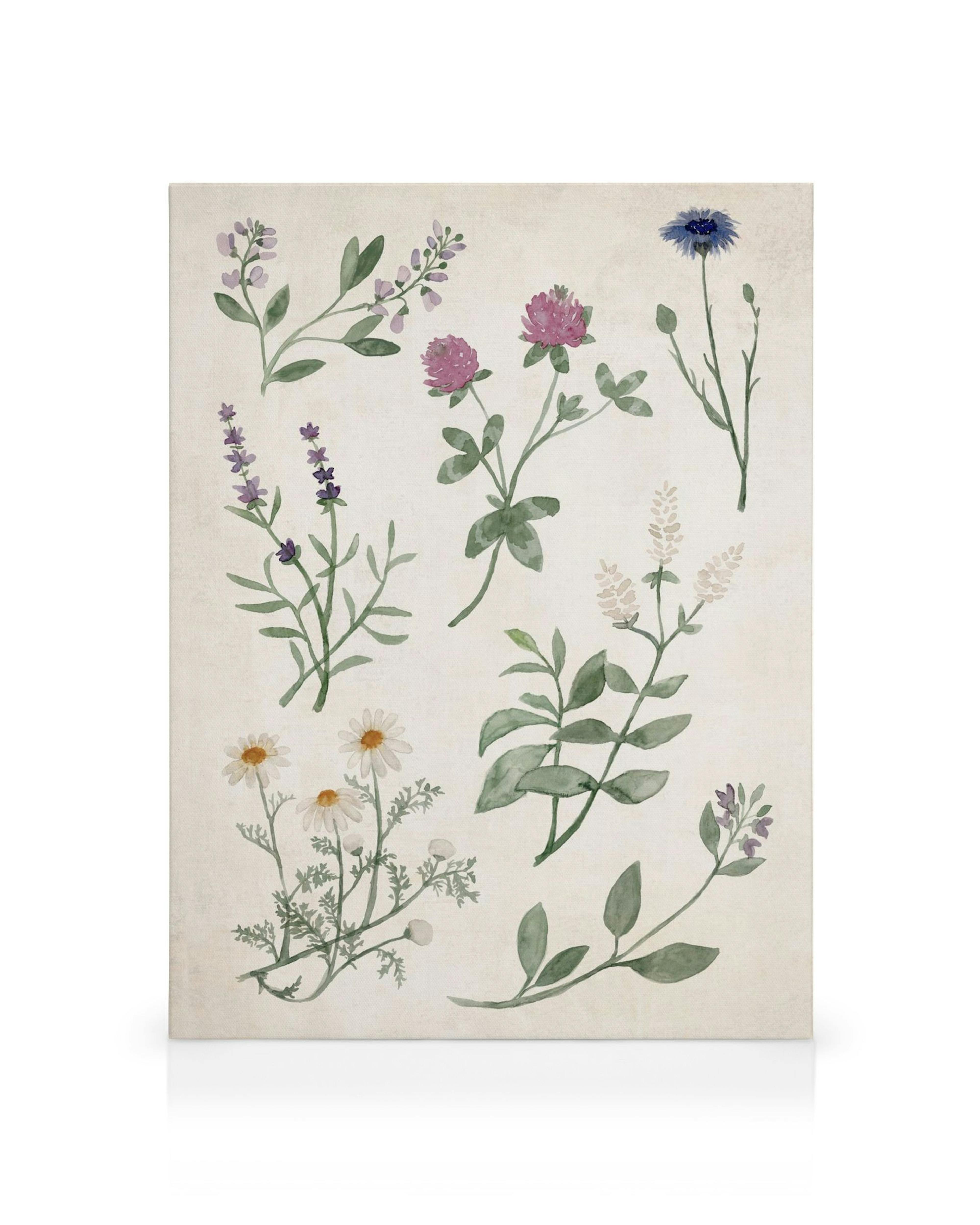 Watercolor canvas print featuring various wildflowers and herbs like lavender, clover, and chamomile on a cream background.