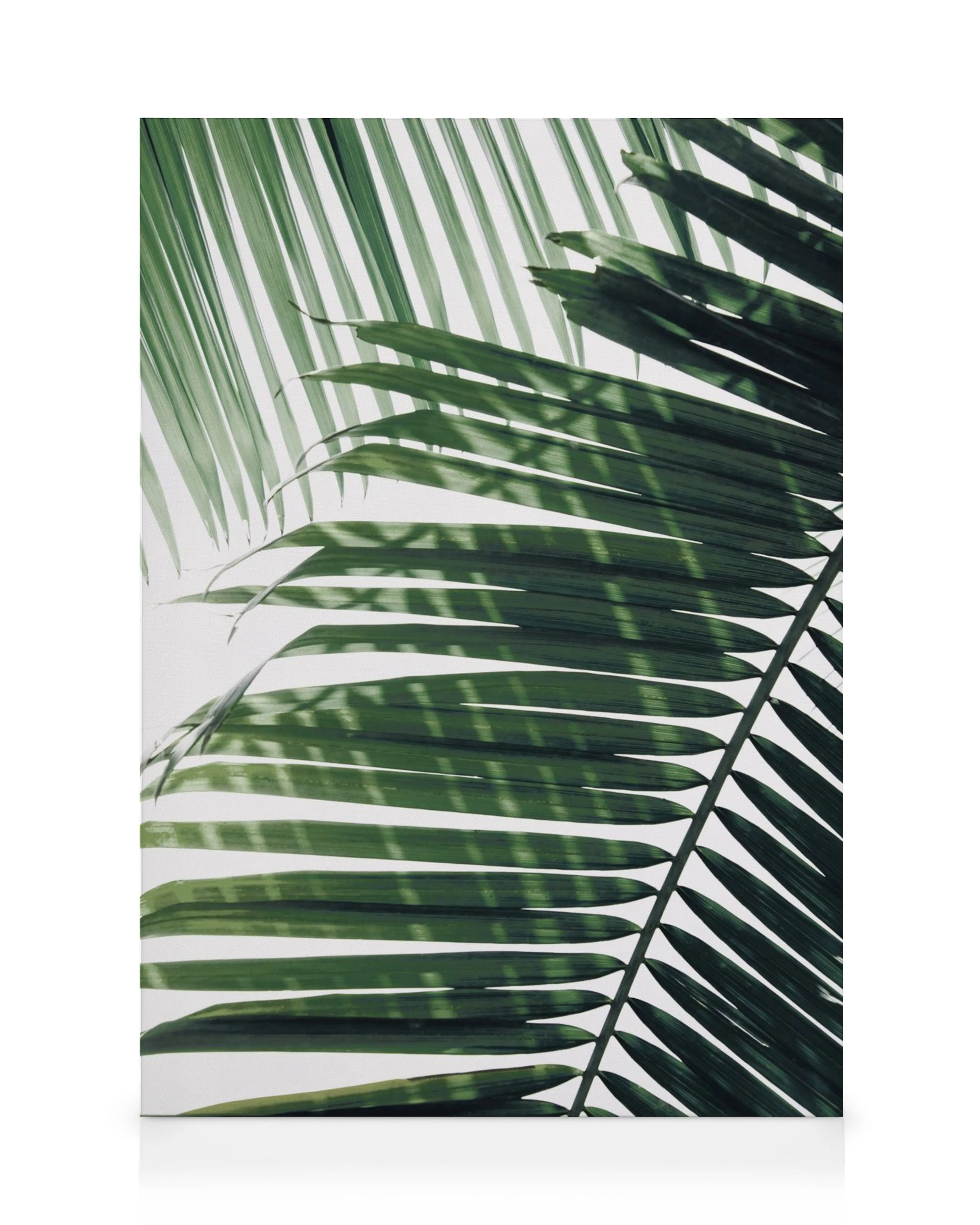Leinwandbild mit tropischen Palmblättern in sattem Grün und Sonnenstrahlen-Schatten für ein natürliches Gefühl.