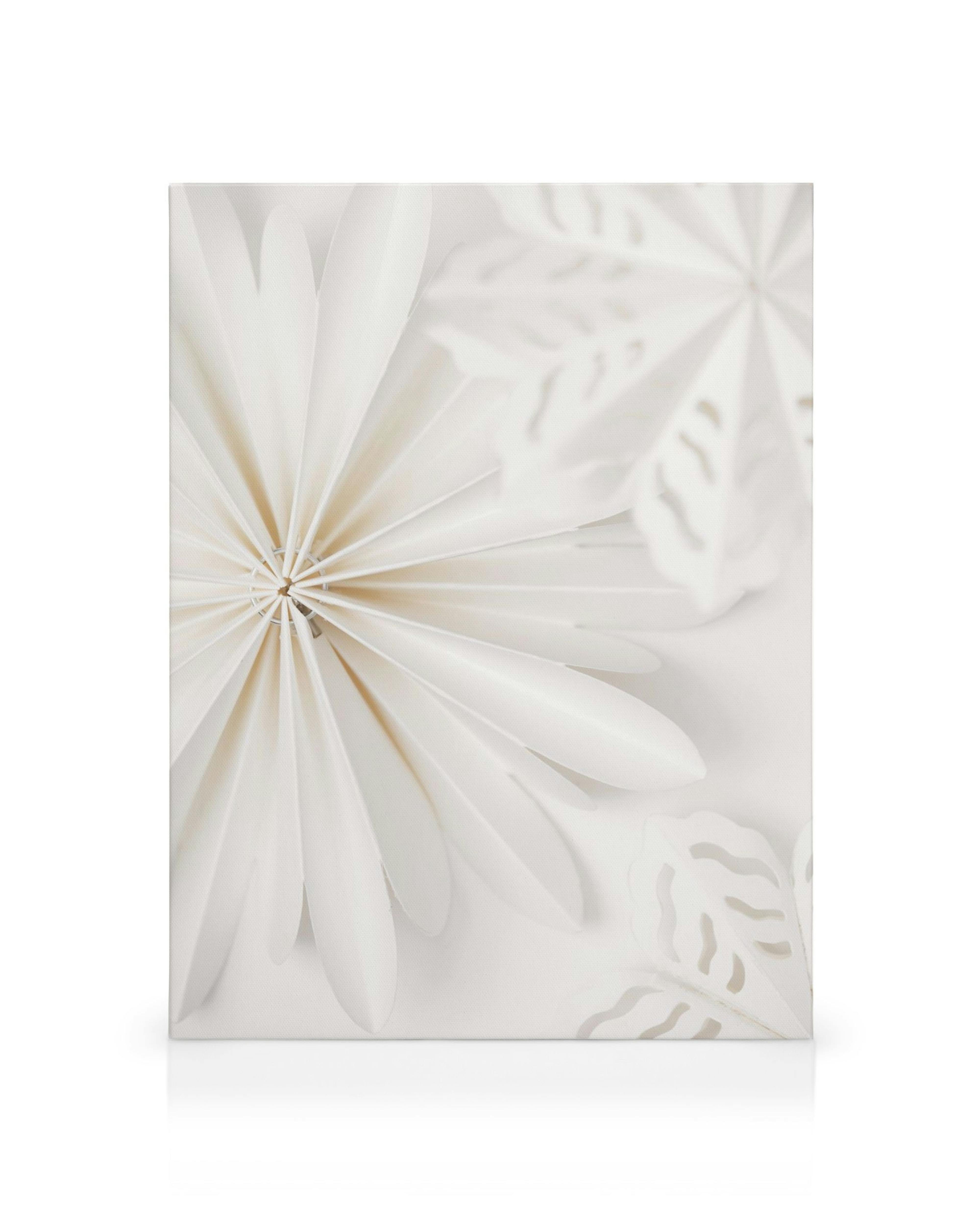 Toile de fleurs en papier blanches minimalistes avec fond ombragé de feuilles