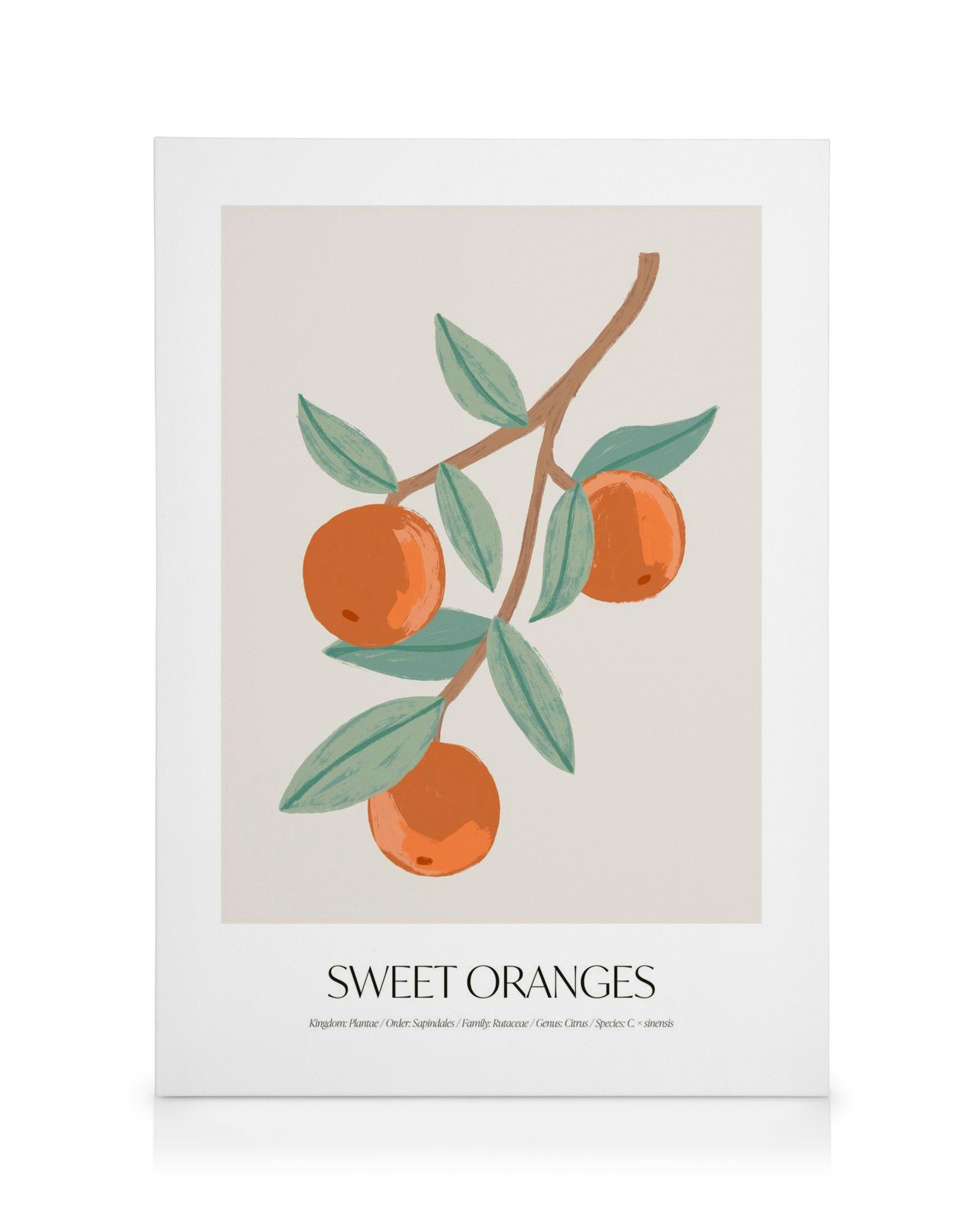 Sinaasappel canvas: tak met sinaasappels en groene bladeren op beige achtergrond, Sweet Oranges tekst.