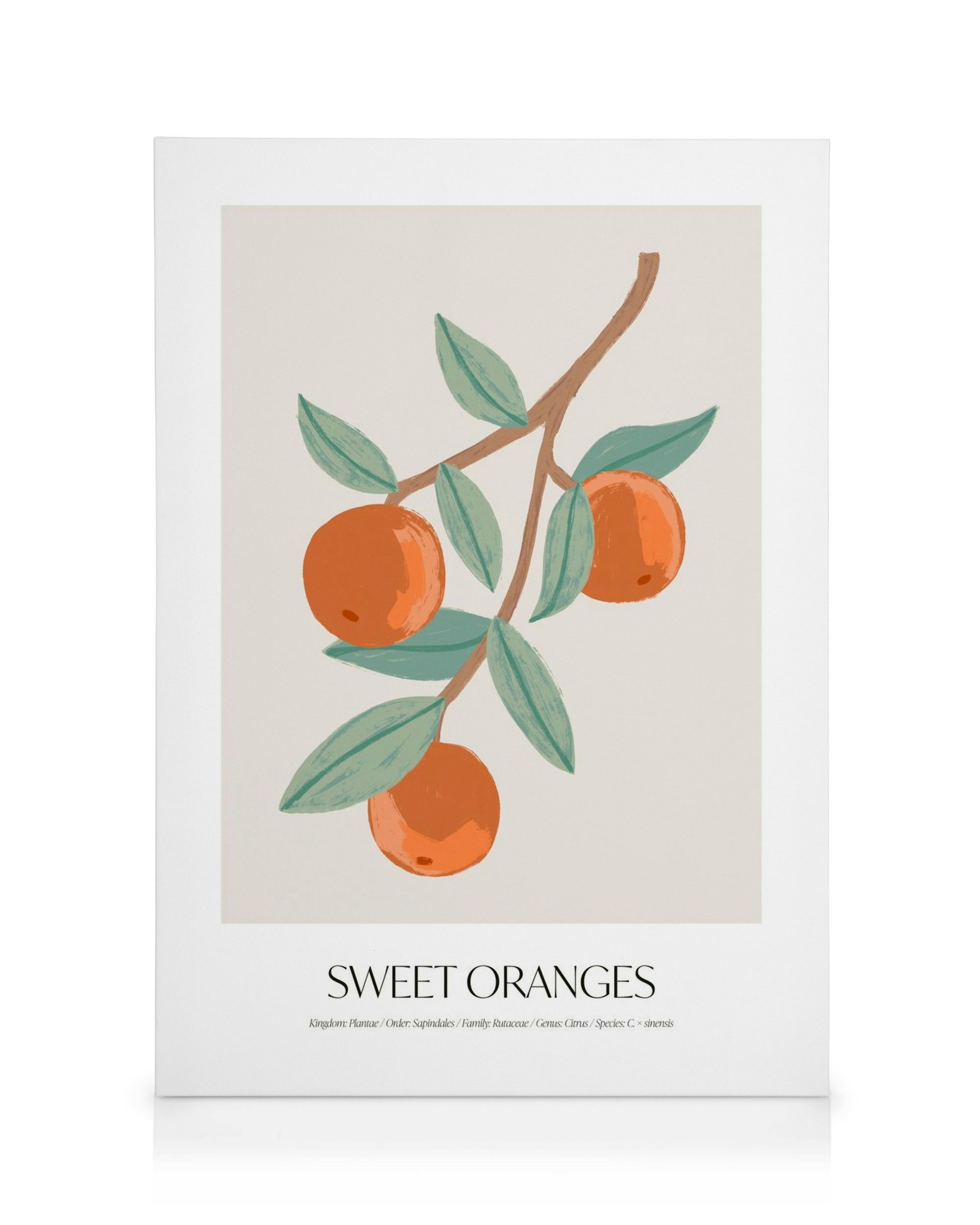 Sinaasappel canvas: tak met sinaasappels en groene bladeren op beige achtergrond, Sweet Oranges tekst.