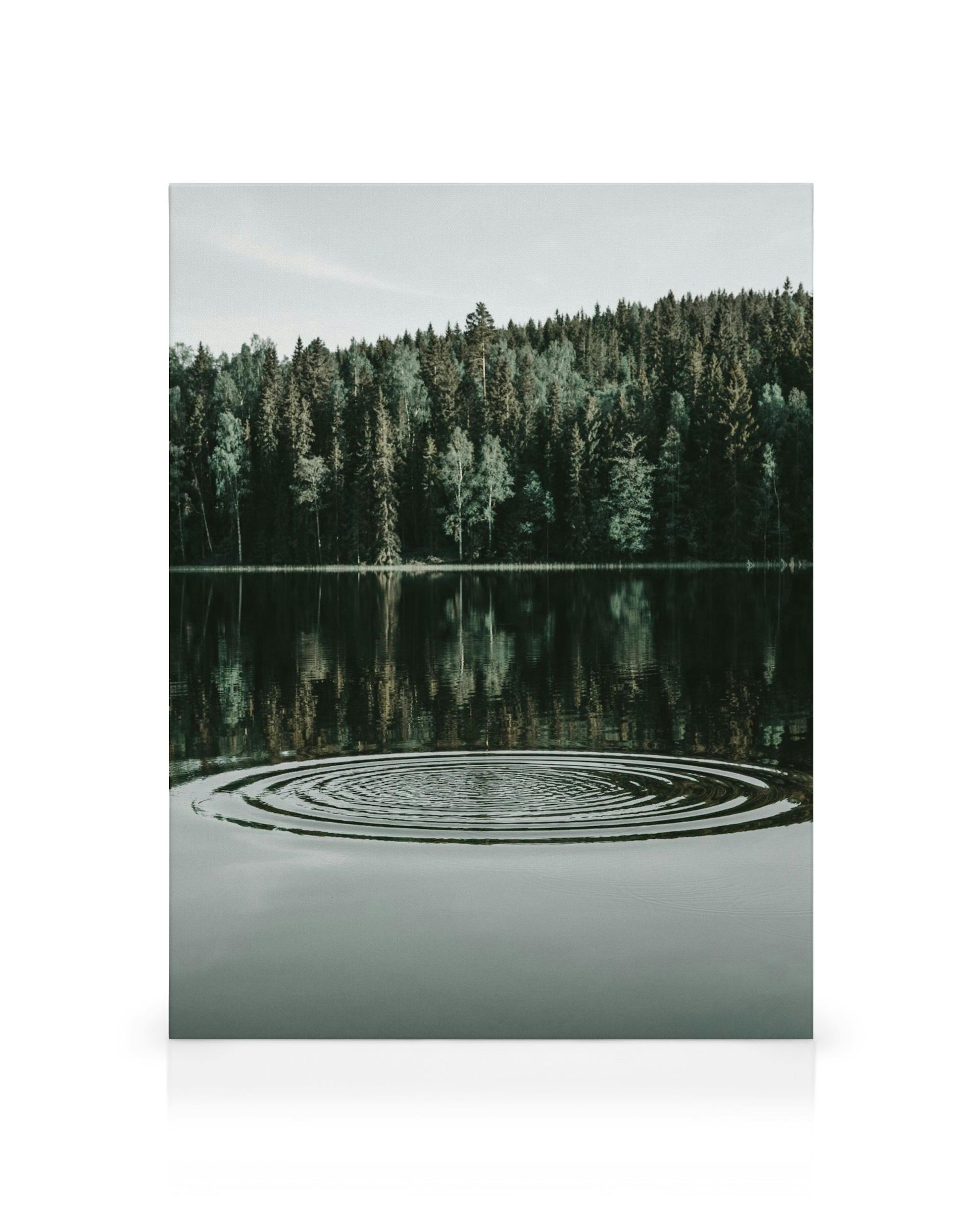 Tela Ripples on the Water com lago, árvores verde-escuras e ondulações na água, céu claro, cores suaves.
